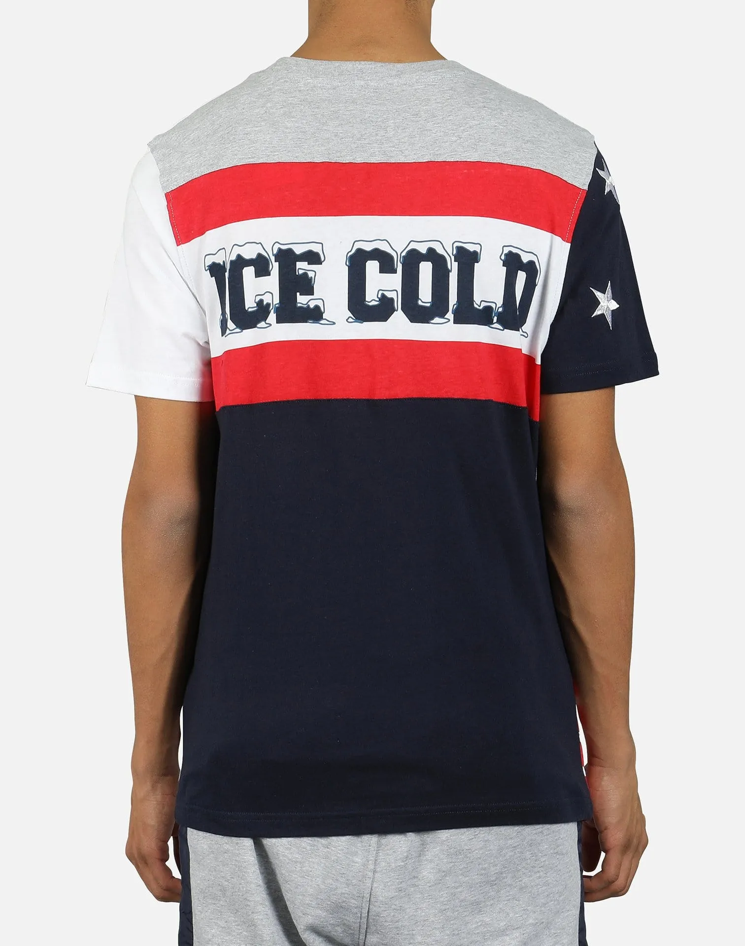 Born Fly VAIL TEE