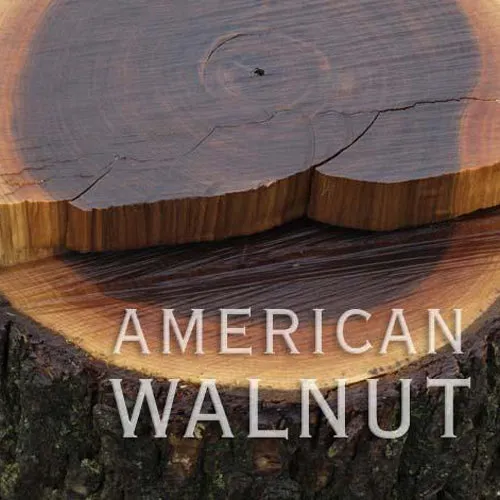 BUNDLE - American Walnut Phone Case   Screen Protector   Mag Safe Charger   Coasters
