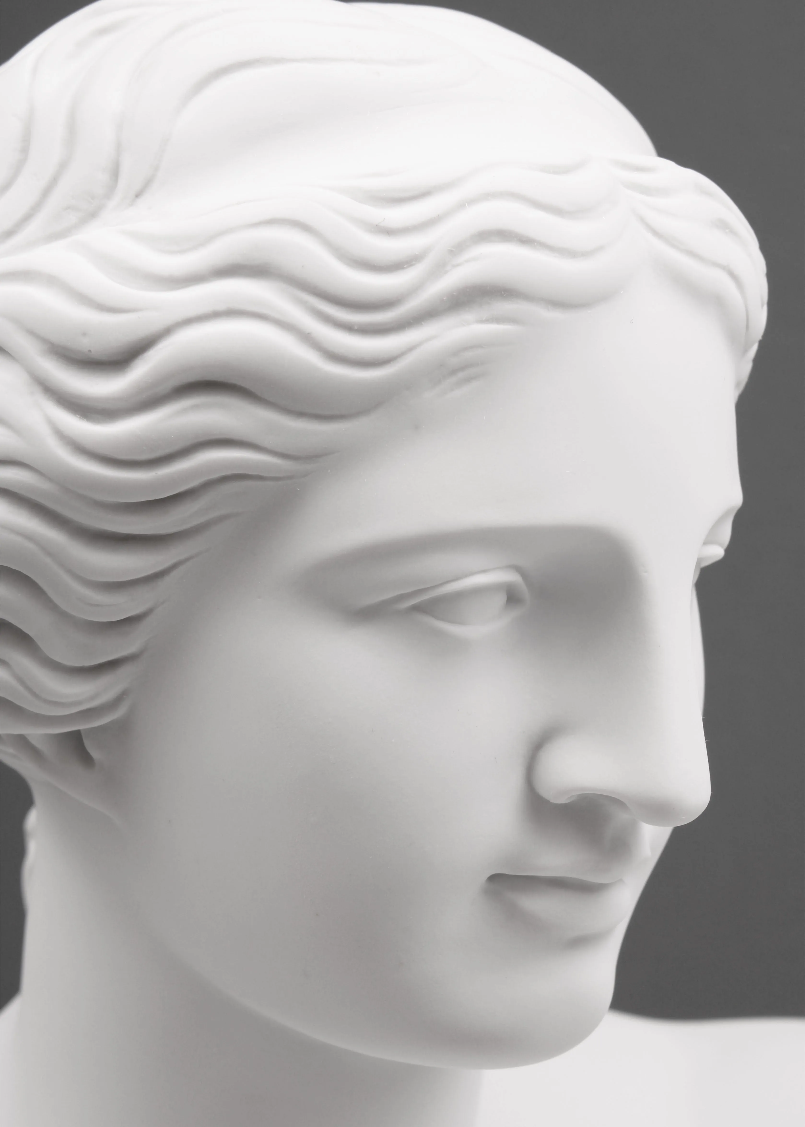 Bust of Venus de Milo