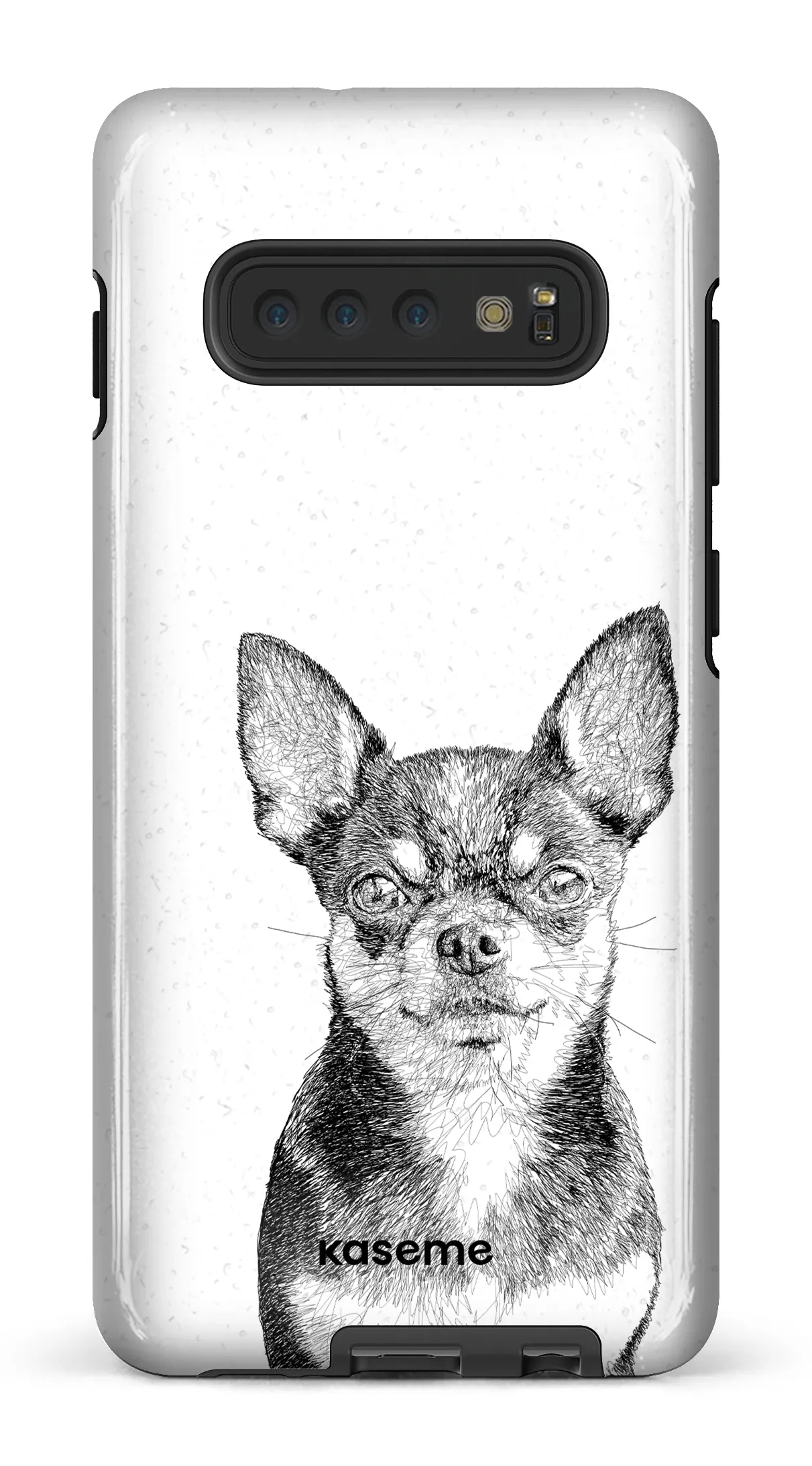 Chiuahua