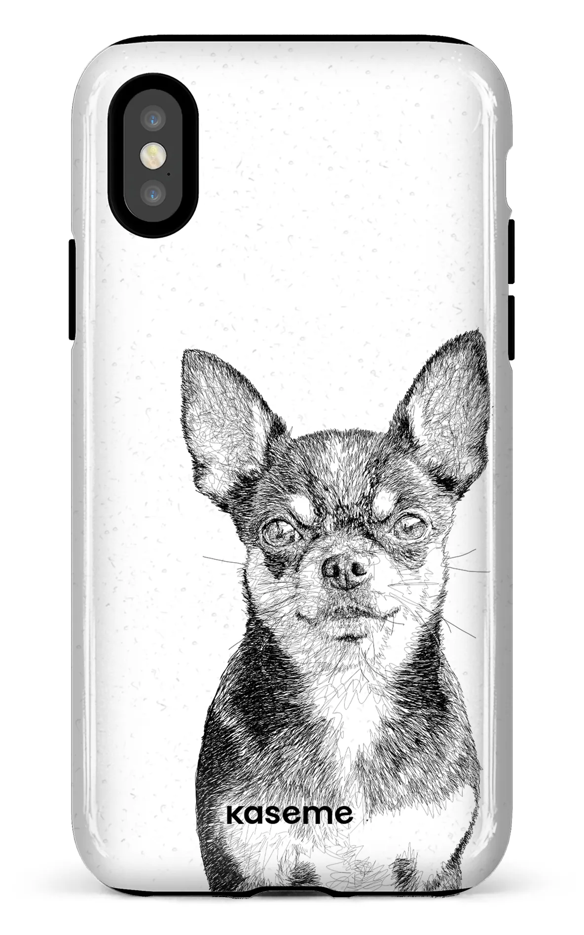 Chiuahua