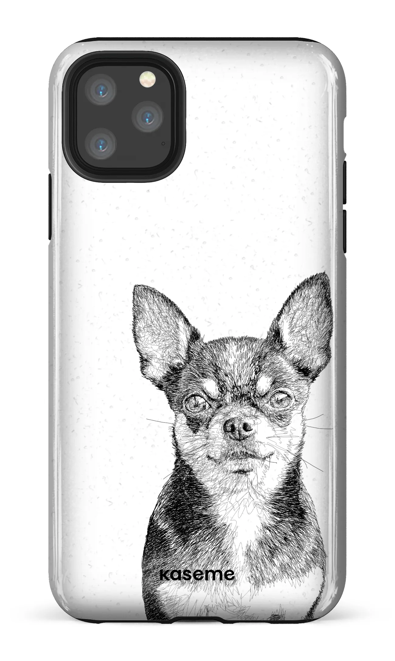 Chiuahua