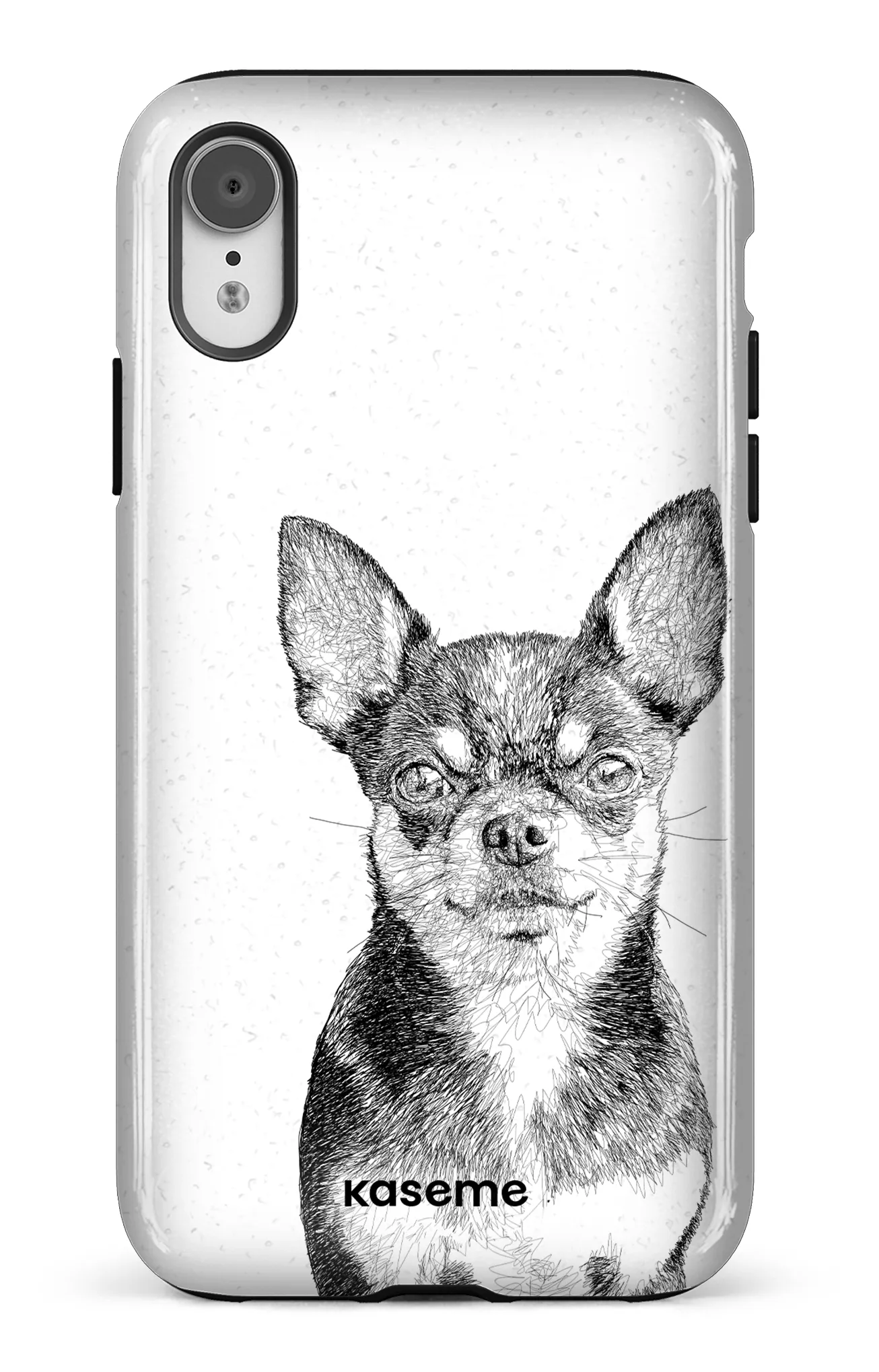 Chiuahua