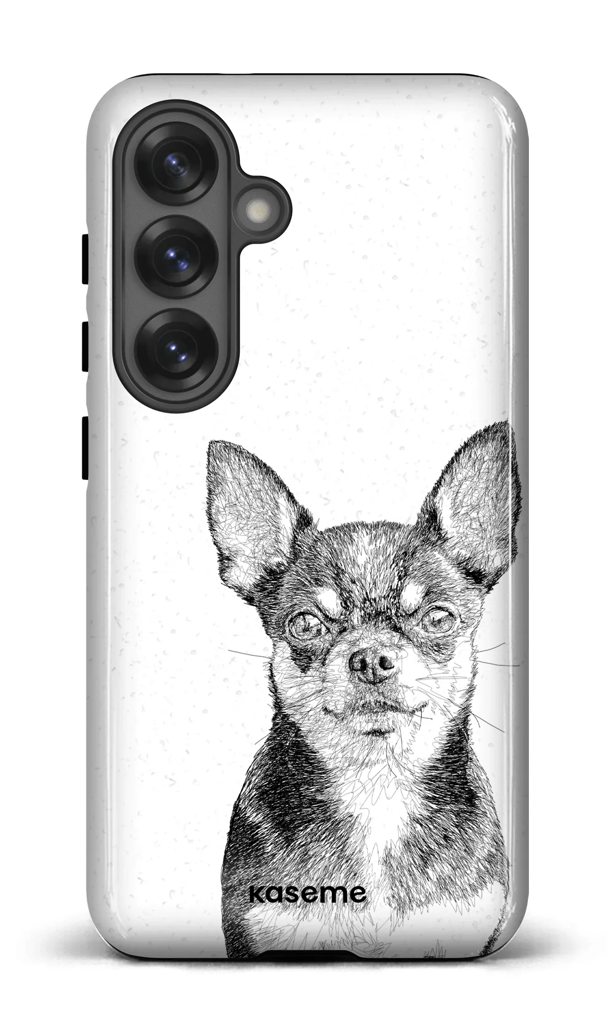 Chiuahua