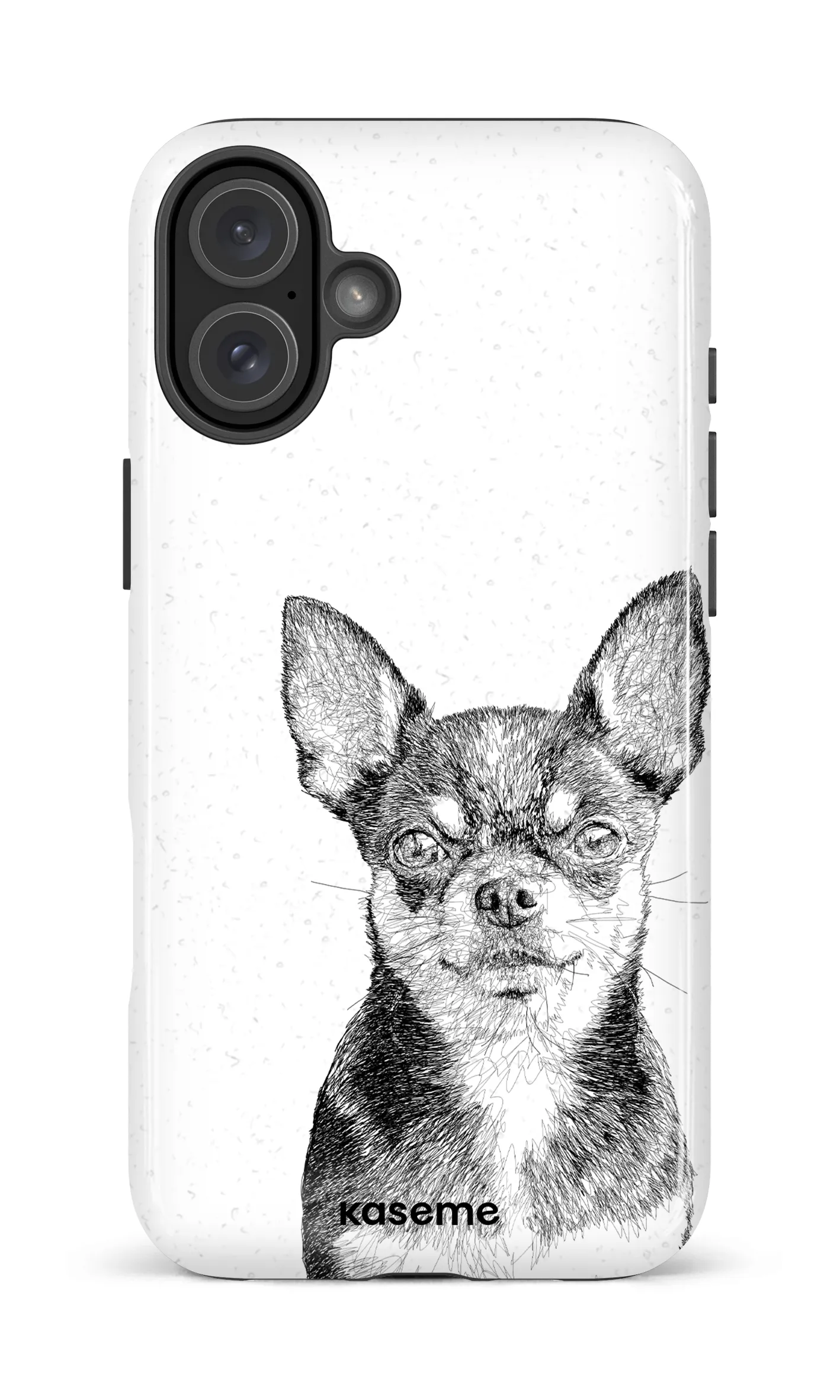 Chiuahua