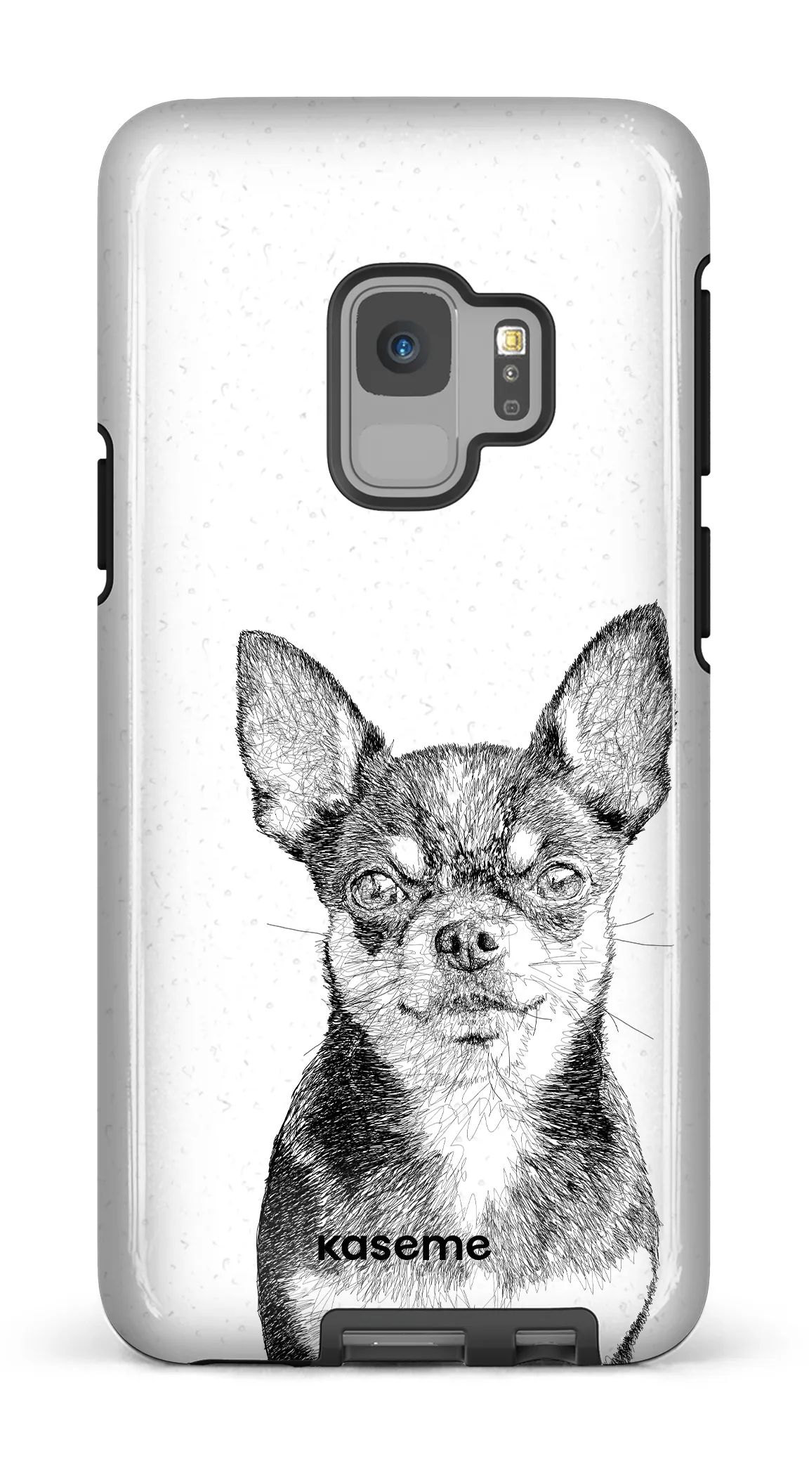 Chiuahua