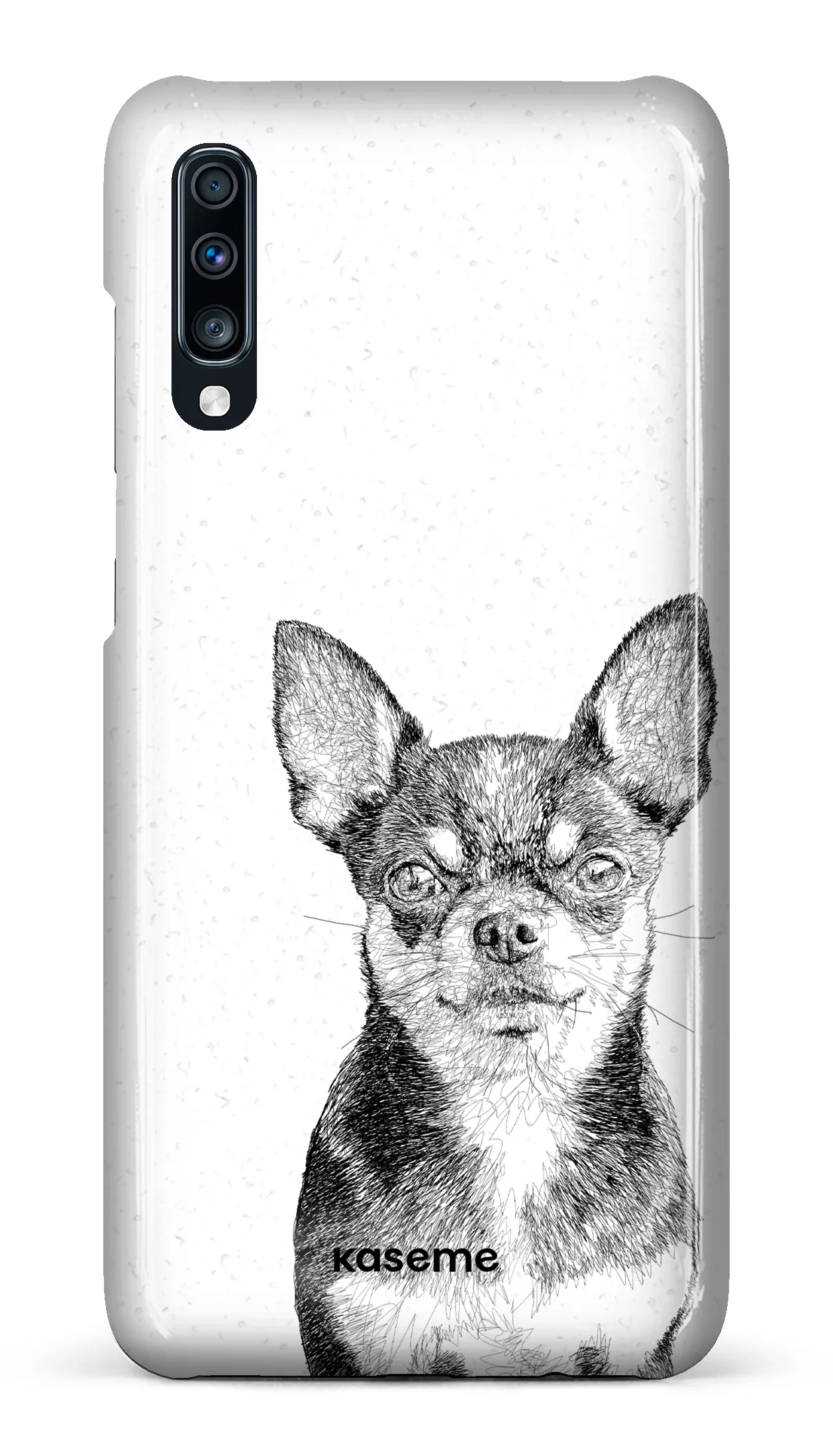 Chiuahua