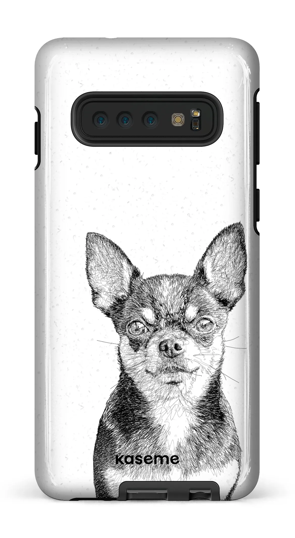 Chiuahua