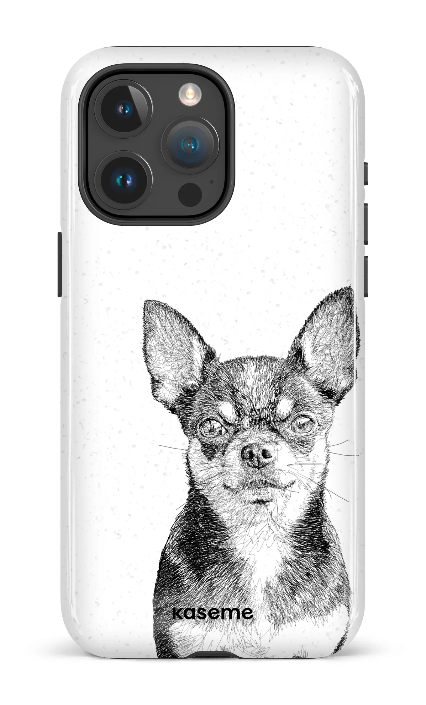Chiuahua