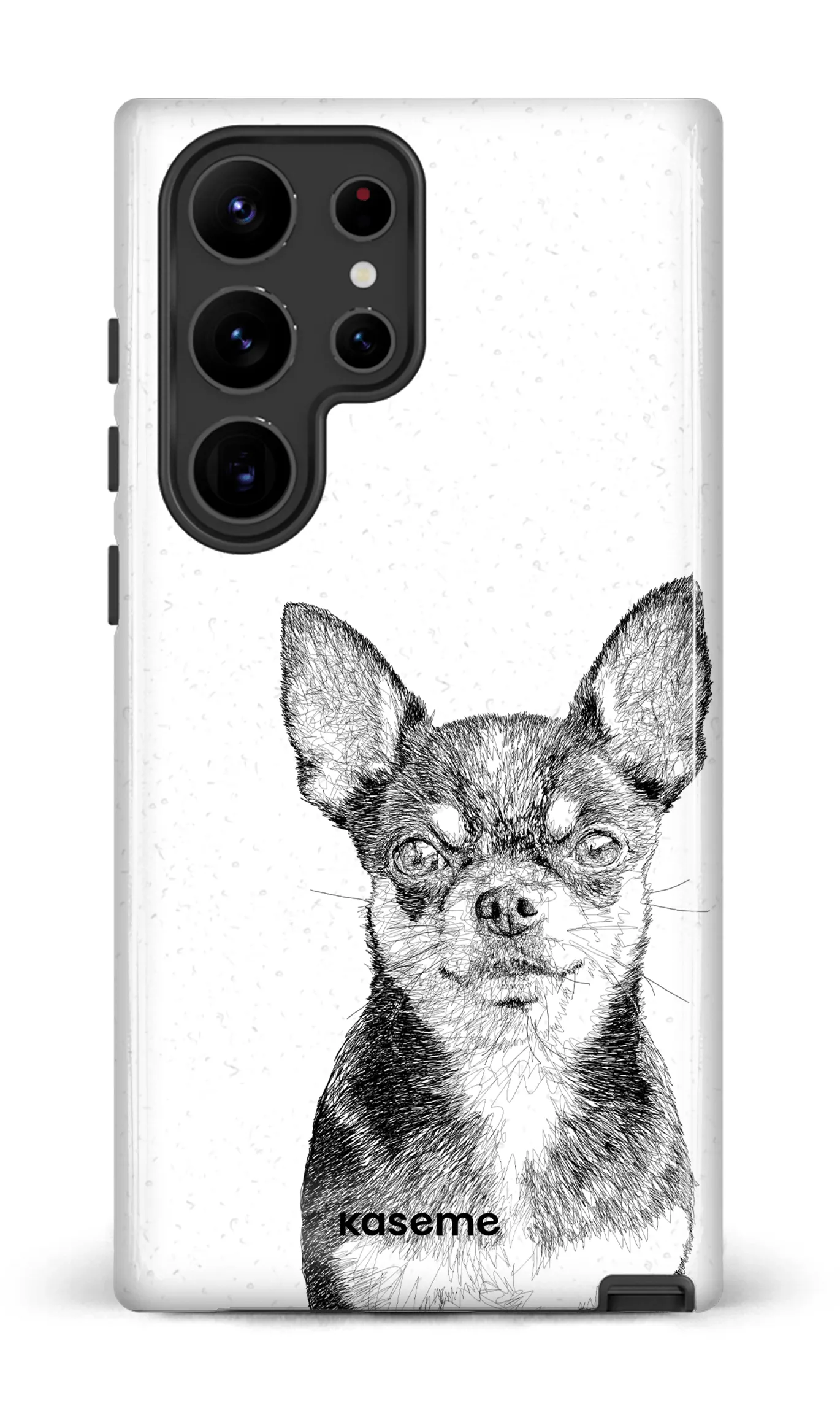Chiuahua