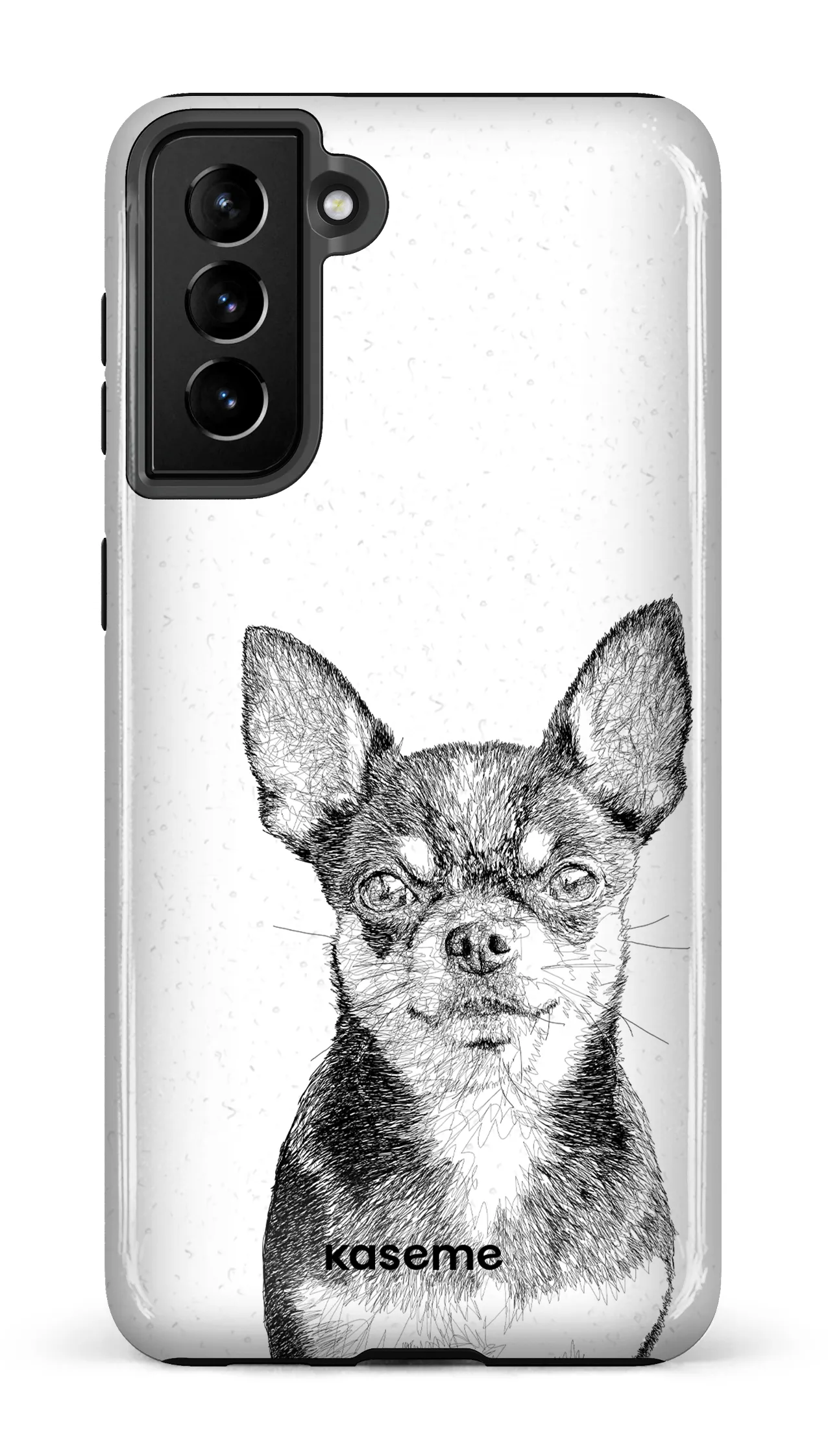 Chiuahua