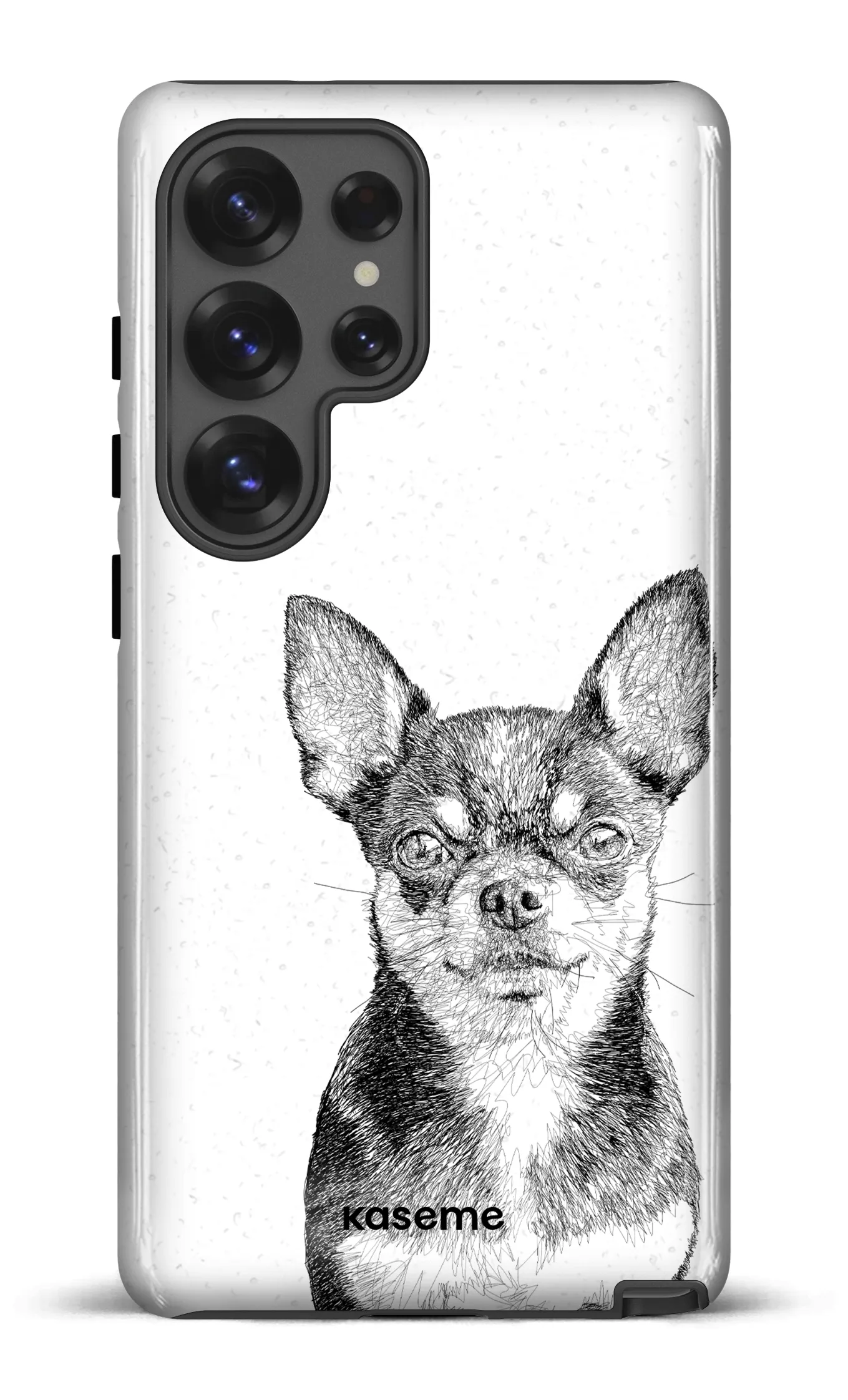 Chiuahua