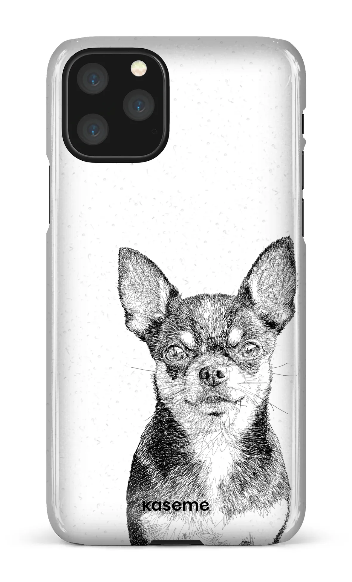 Chiuahua