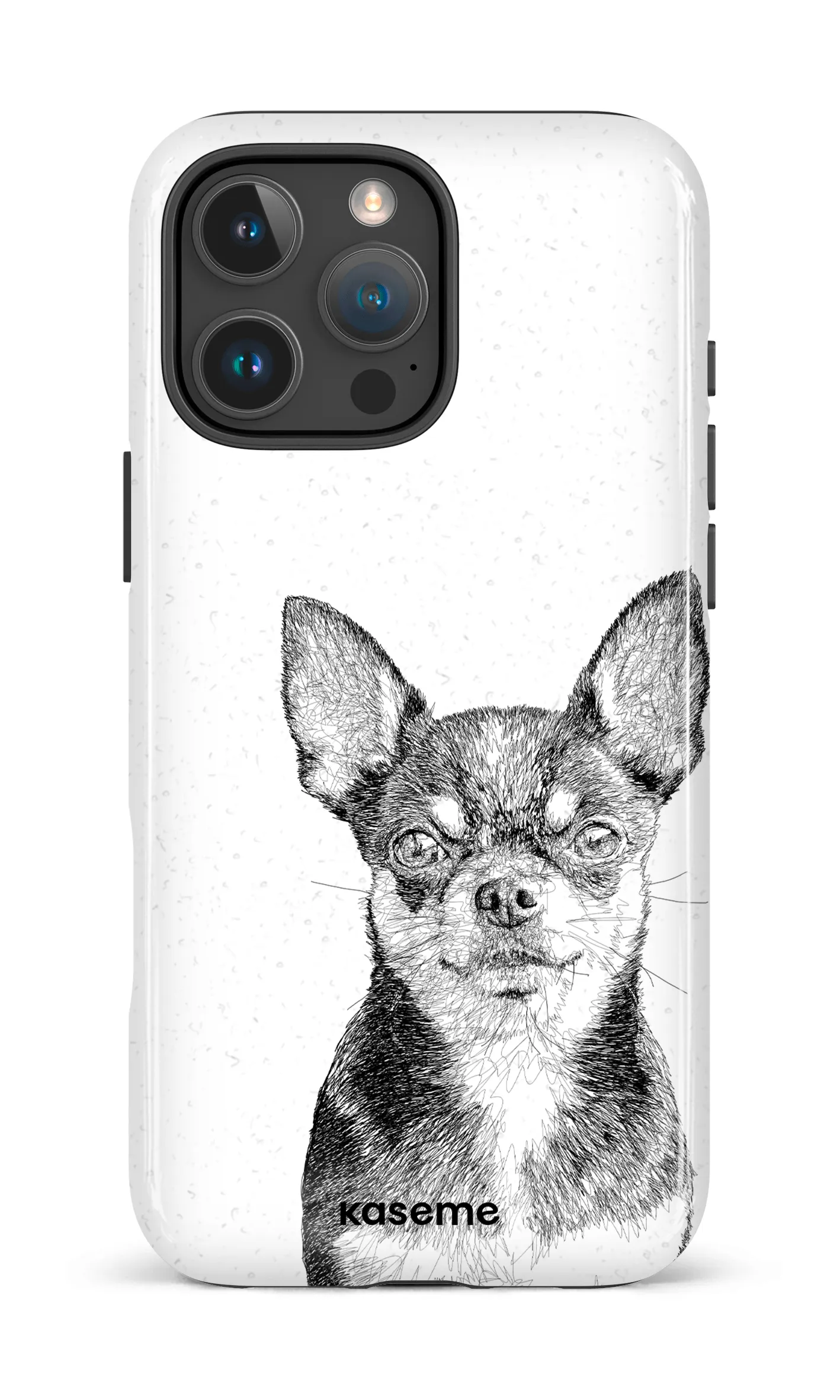 Chiuahua