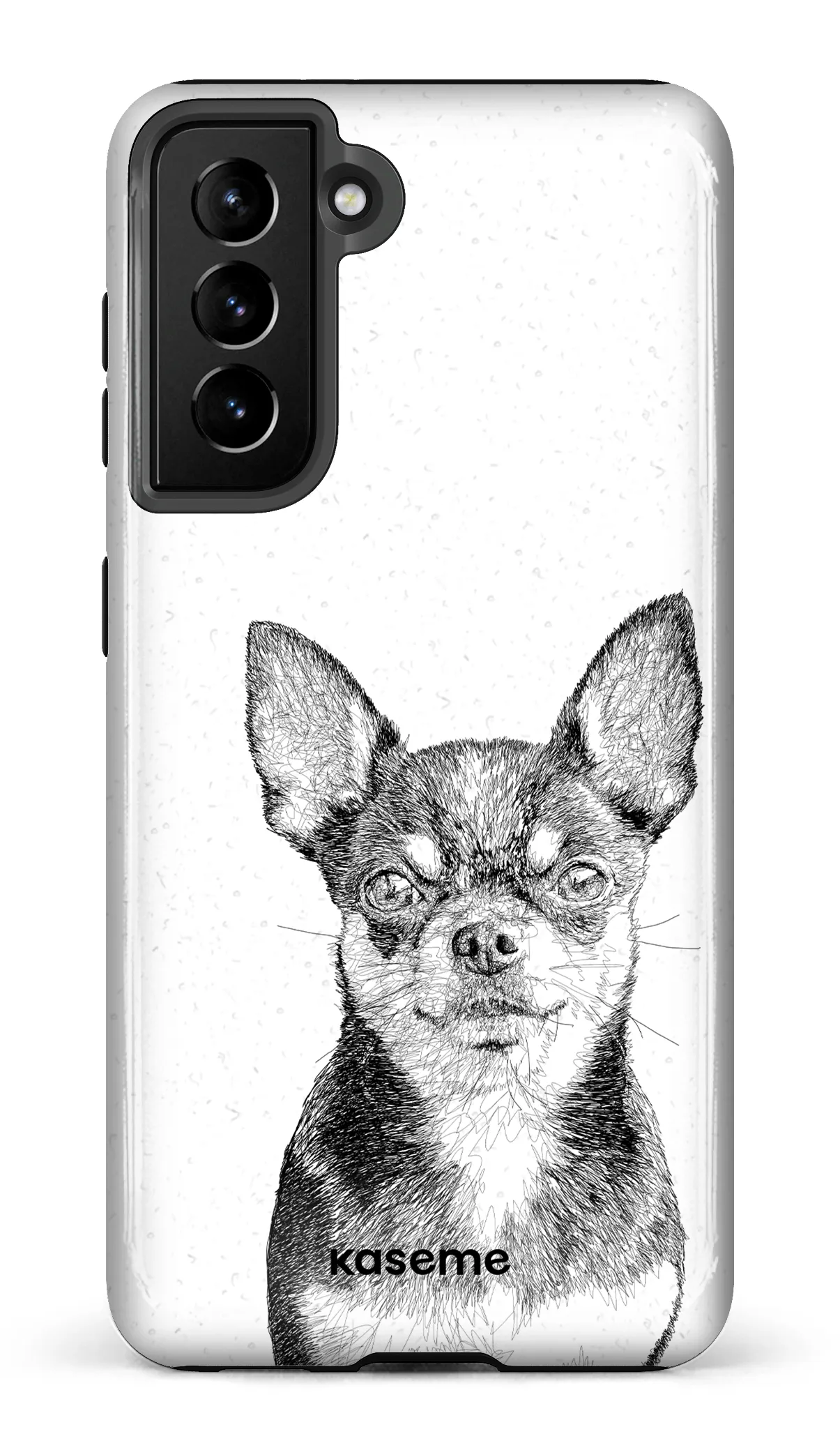 Chiuahua