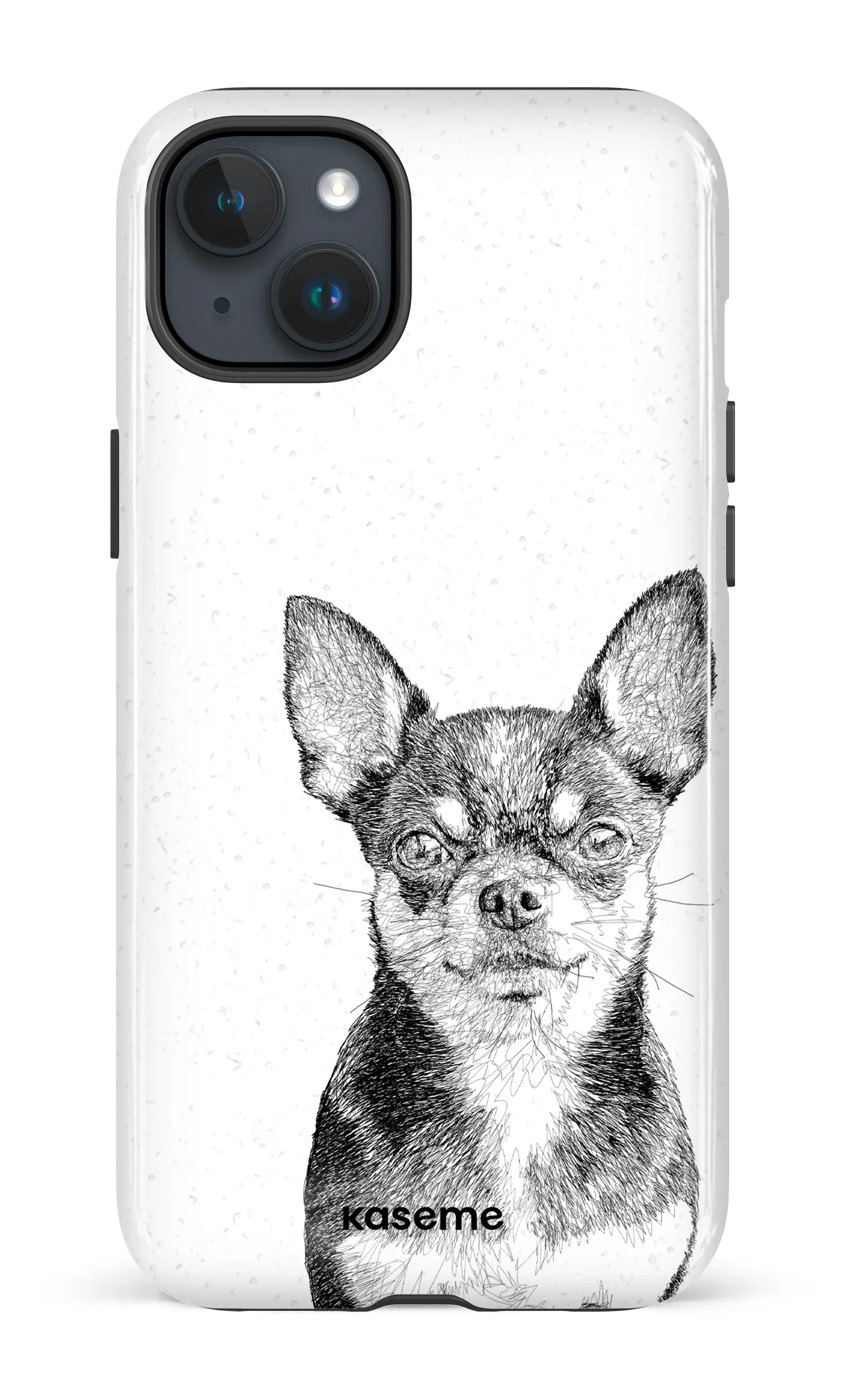 Chiuahua
