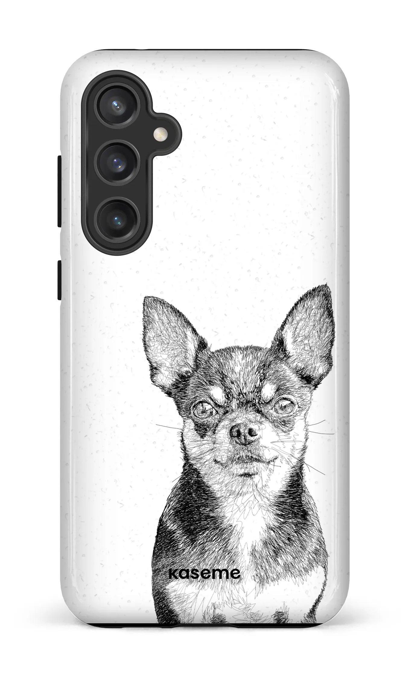 Chiuahua