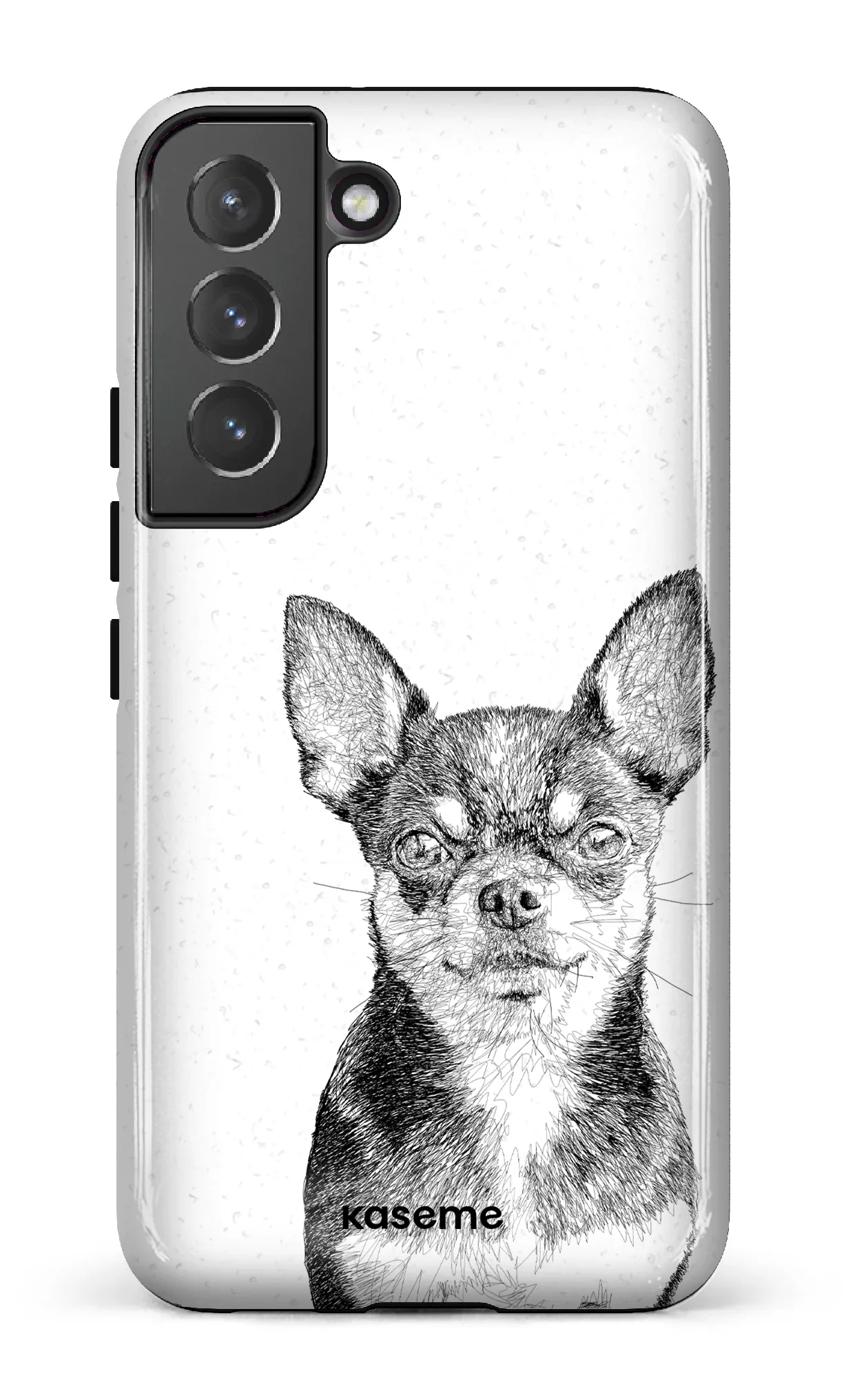 Chiuahua