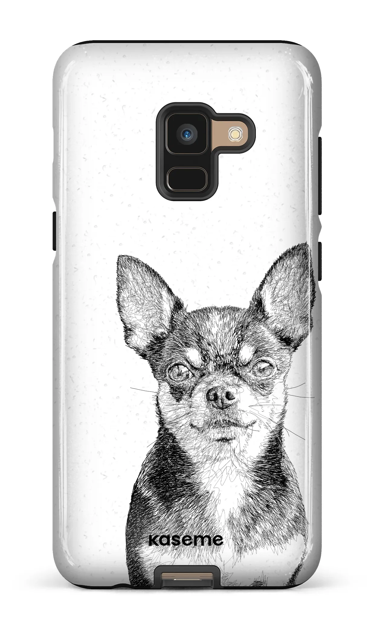 Chiuahua