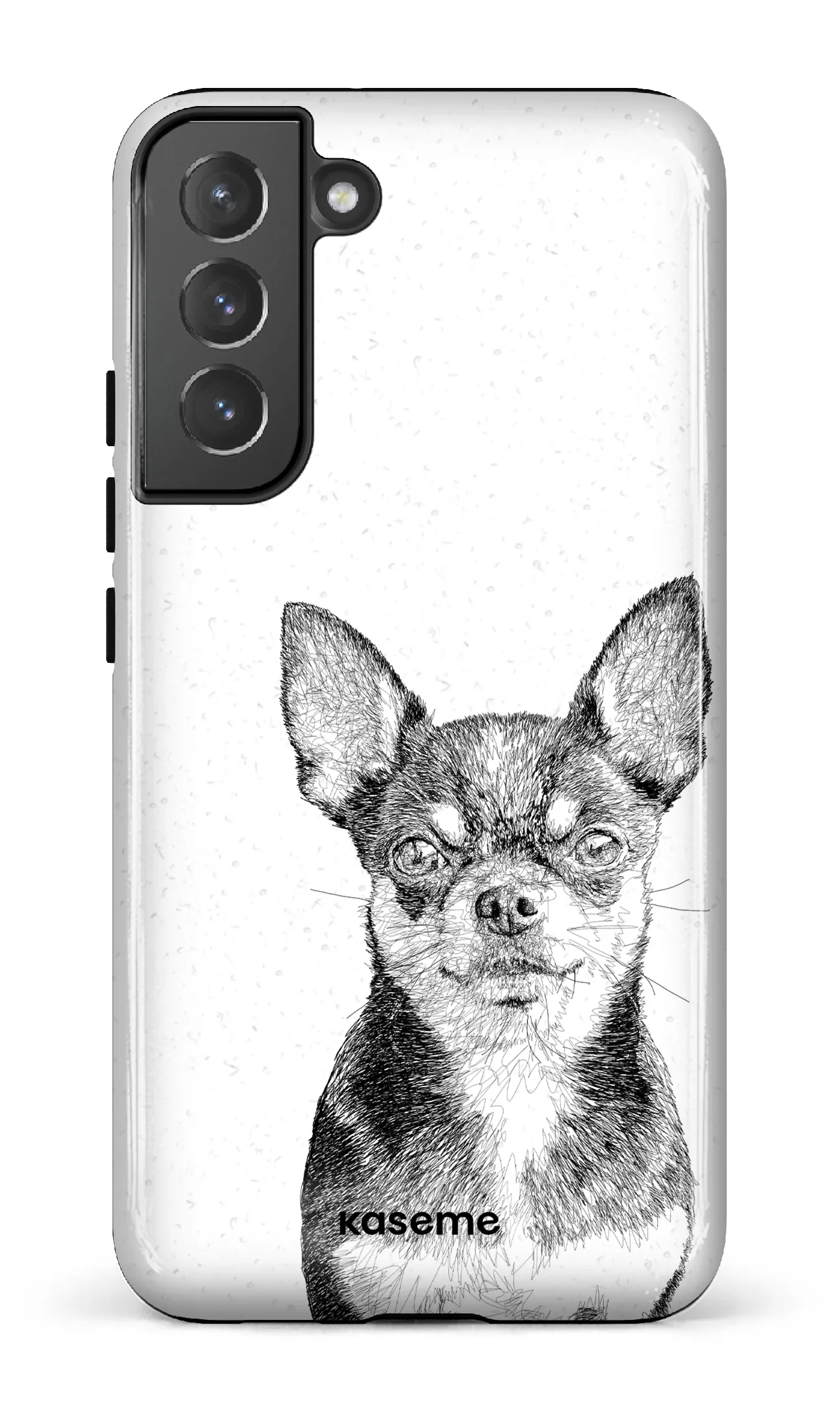 Chiuahua