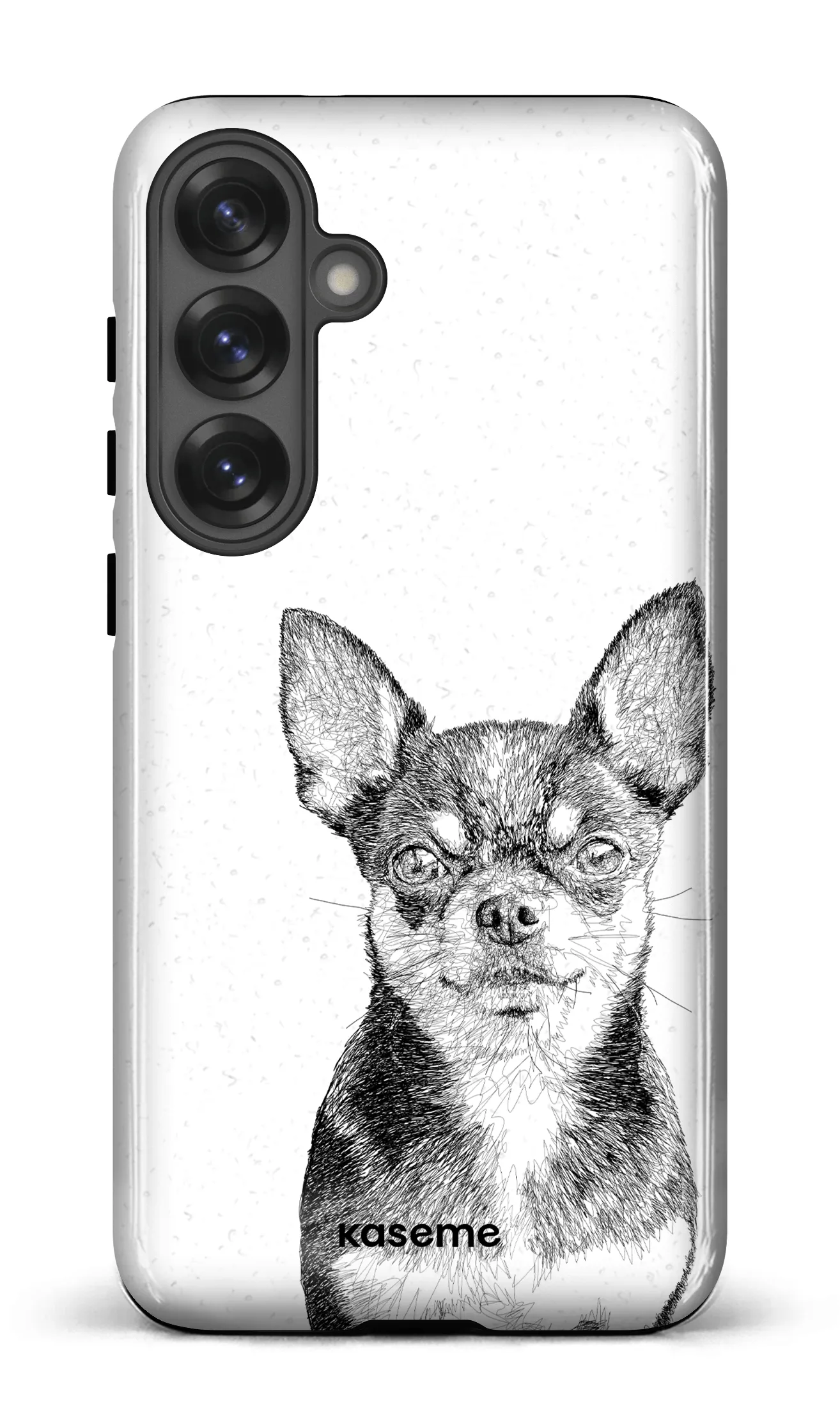 Chiuahua