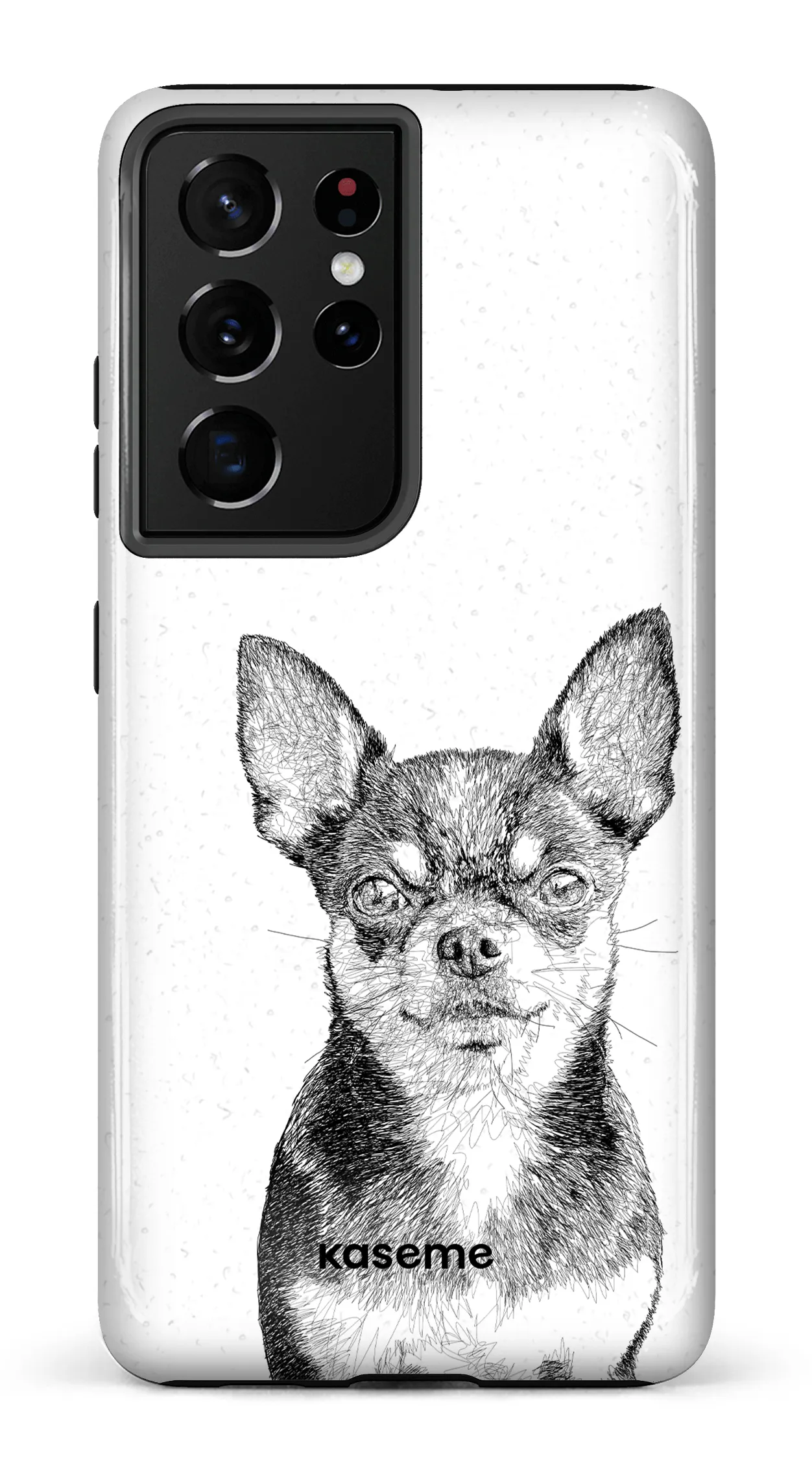 Chiuahua