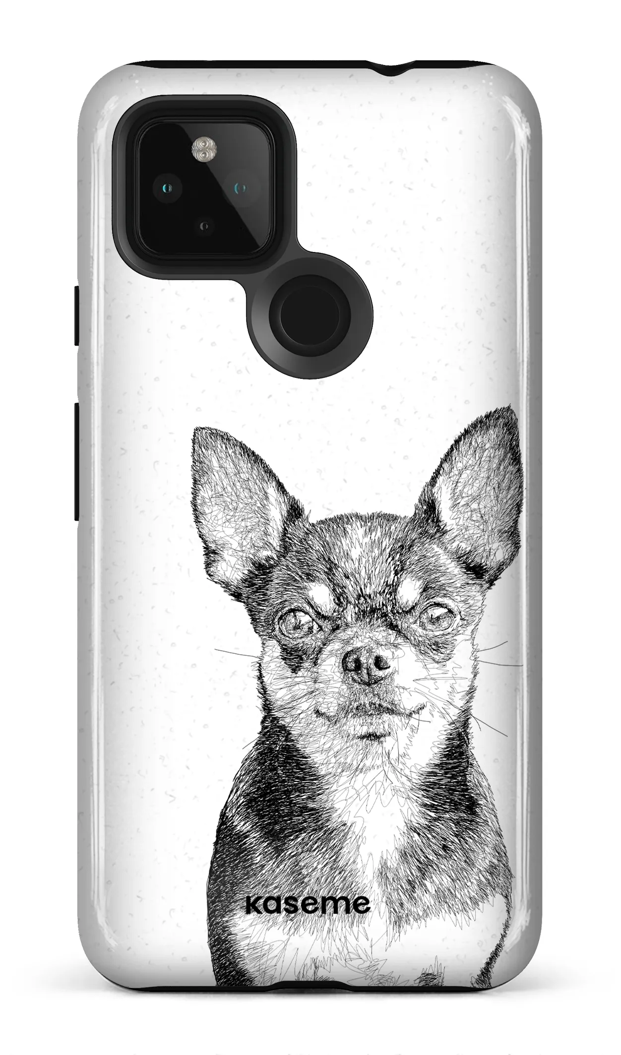Chiuahua