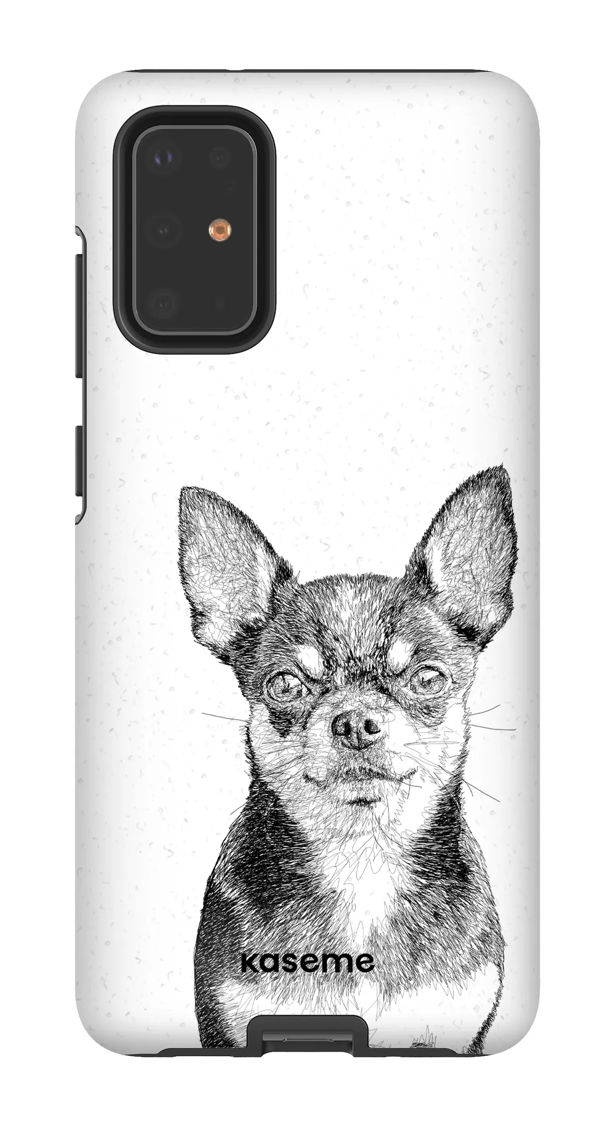 Chiuahua
