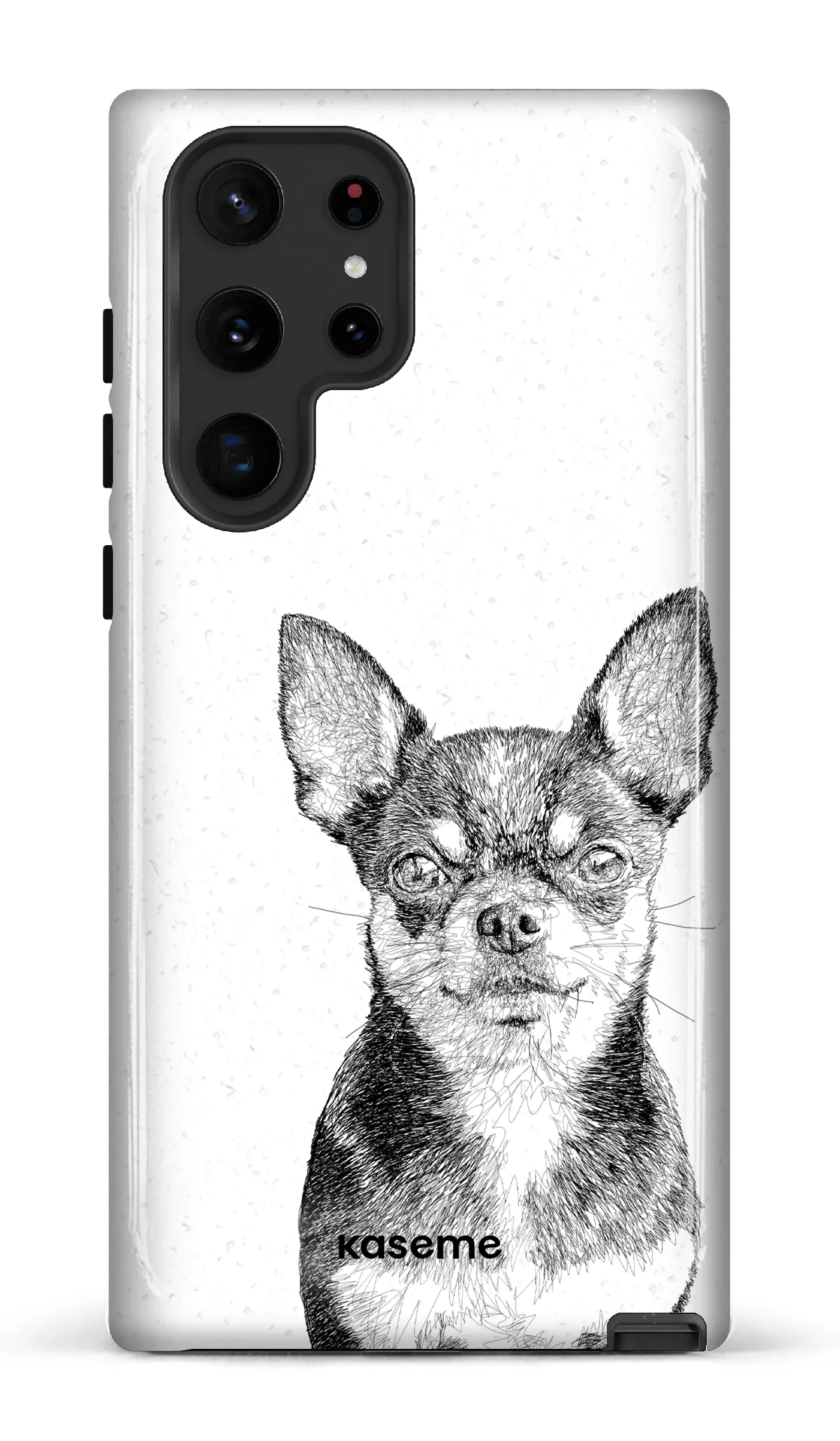 Chiuahua