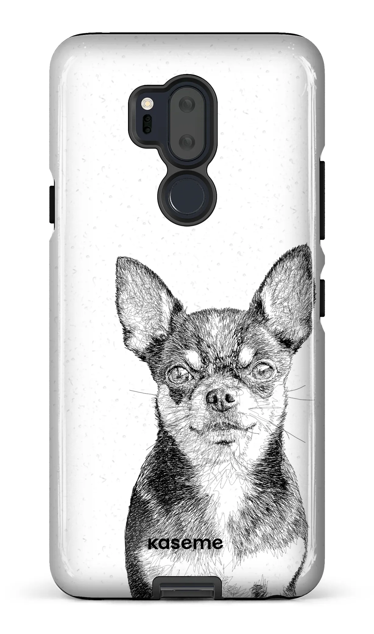 Chiuahua