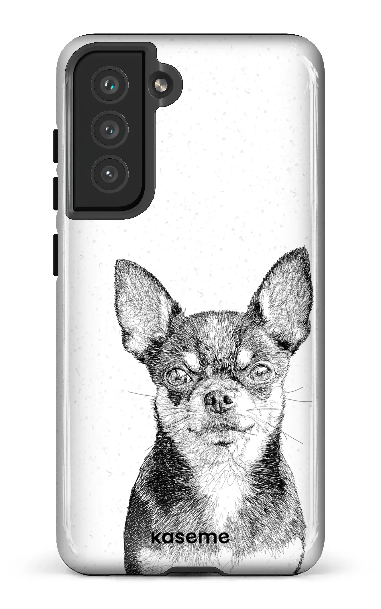 Chiuahua
