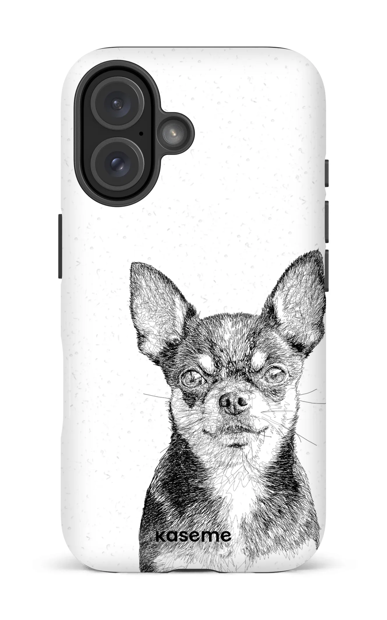Chiuahua