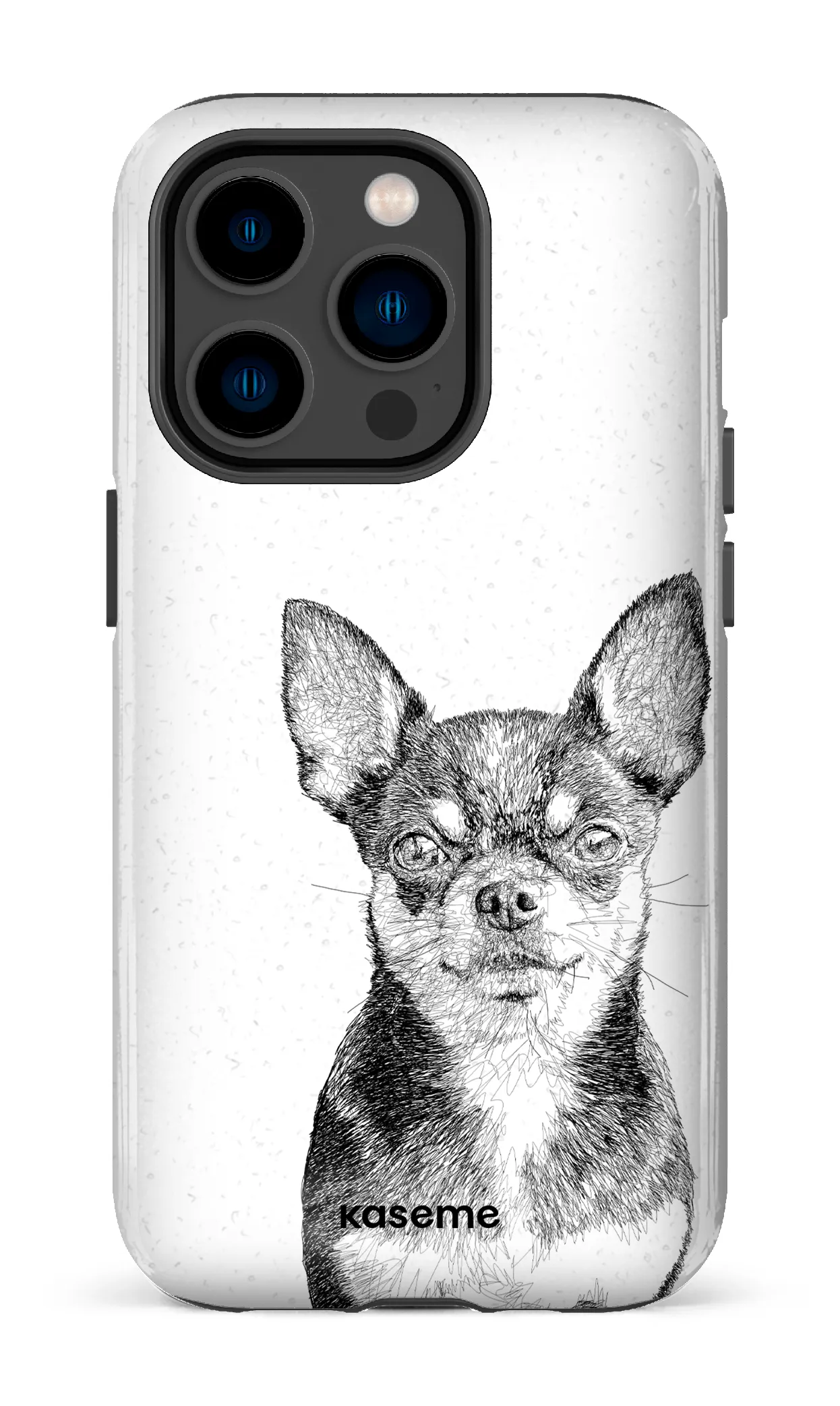 Chiuahua