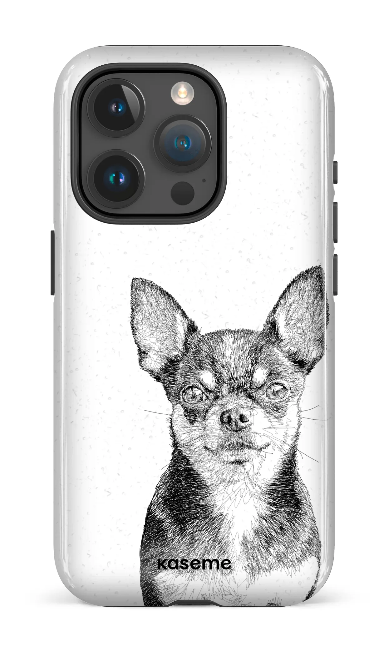 Chiuahua