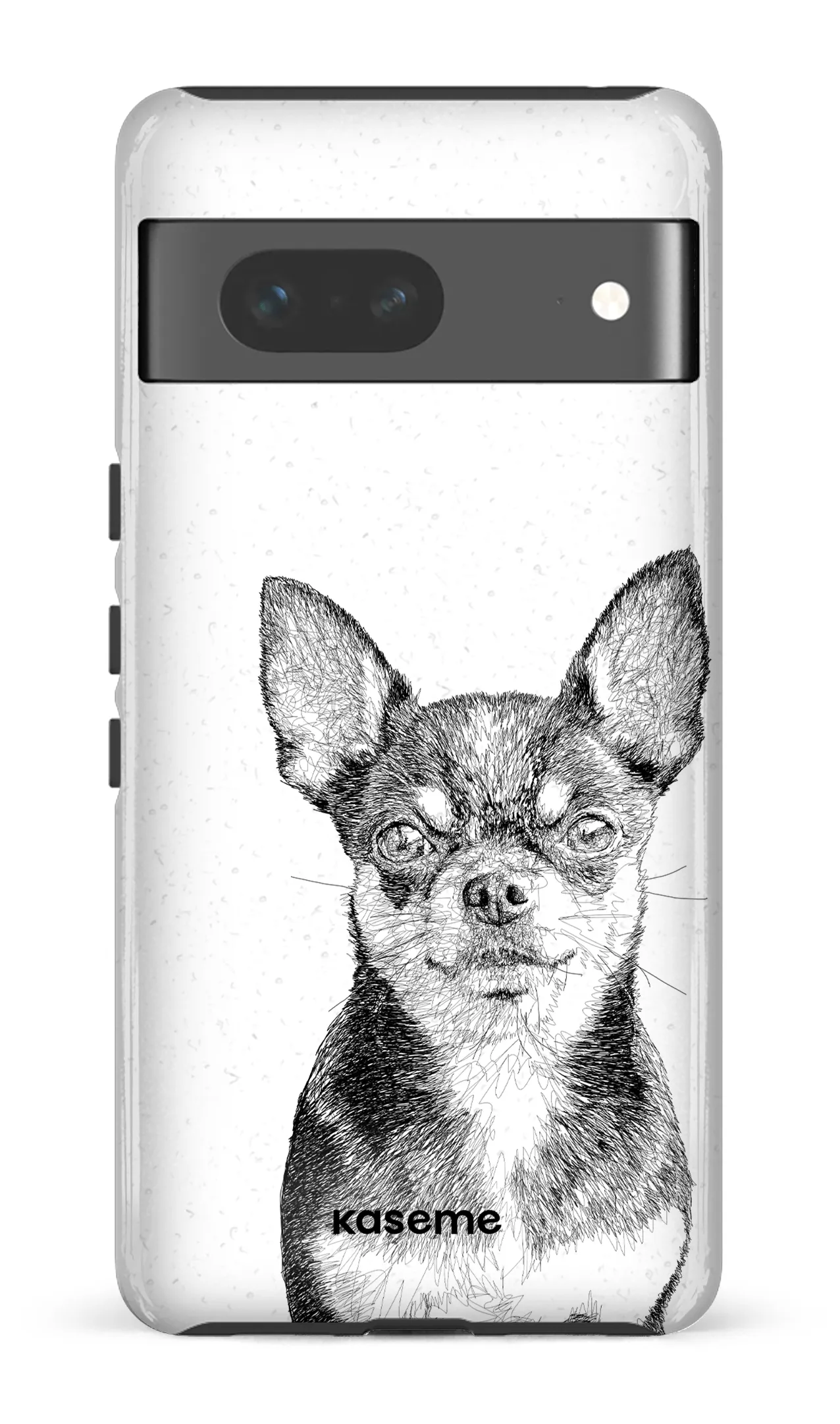Chiuahua