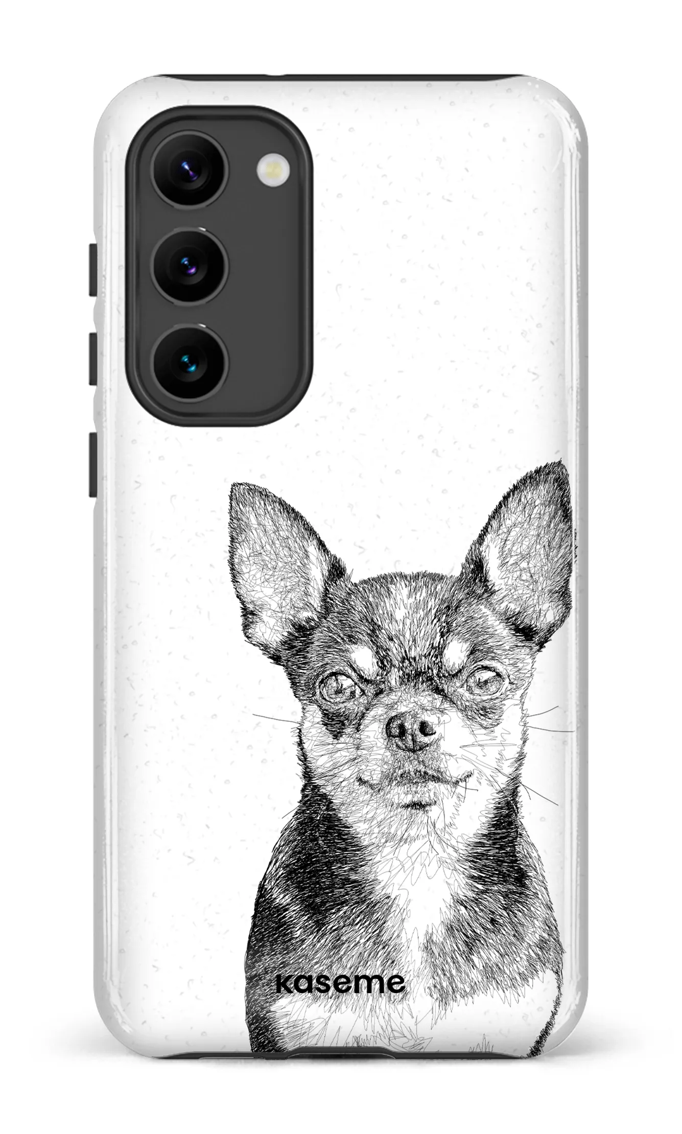 Chiuahua