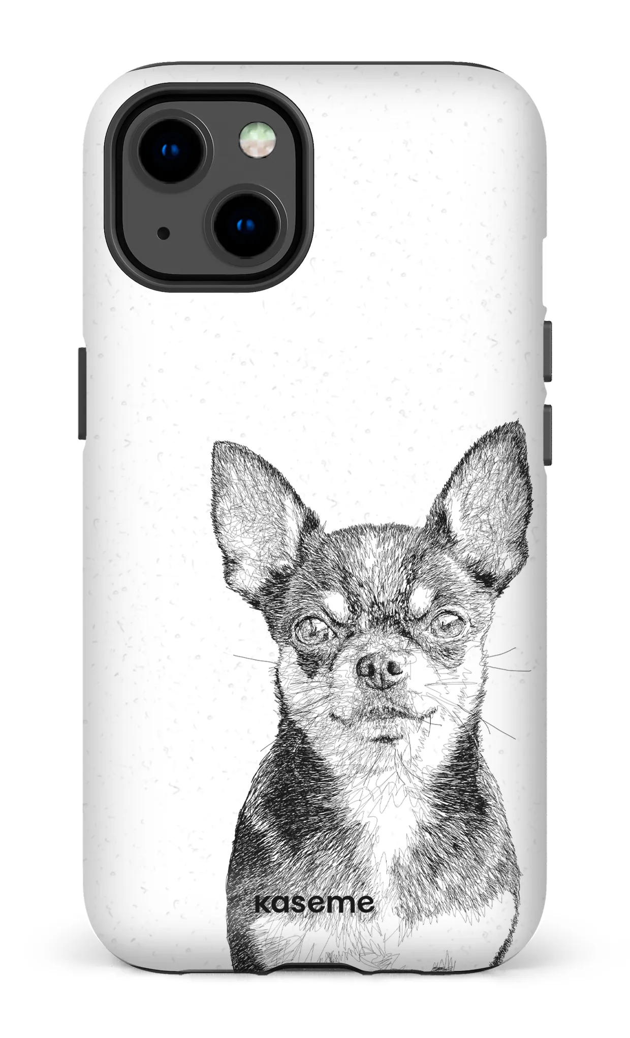 Chiuahua