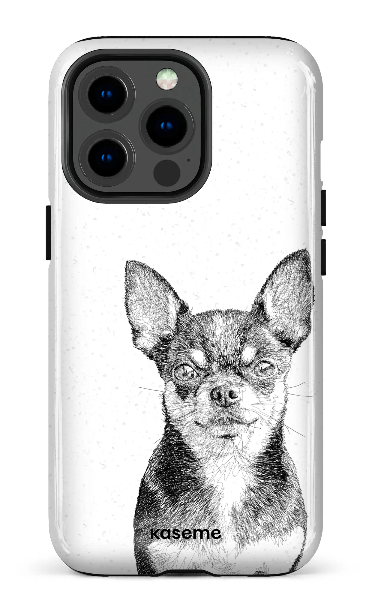 Chiuahua