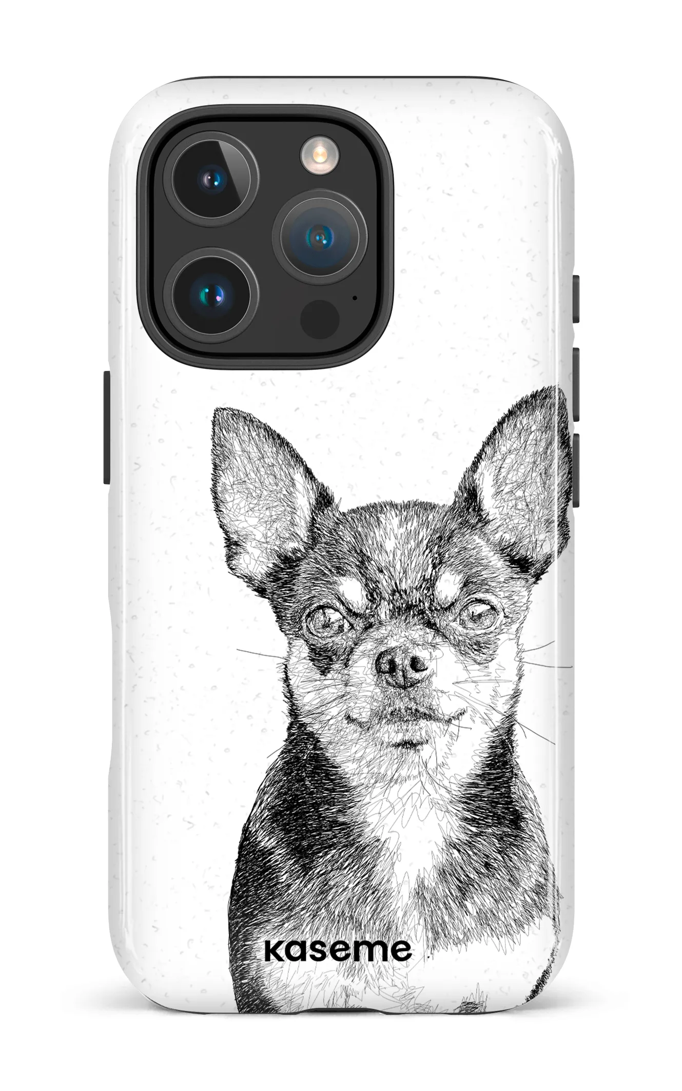 Chiuahua
