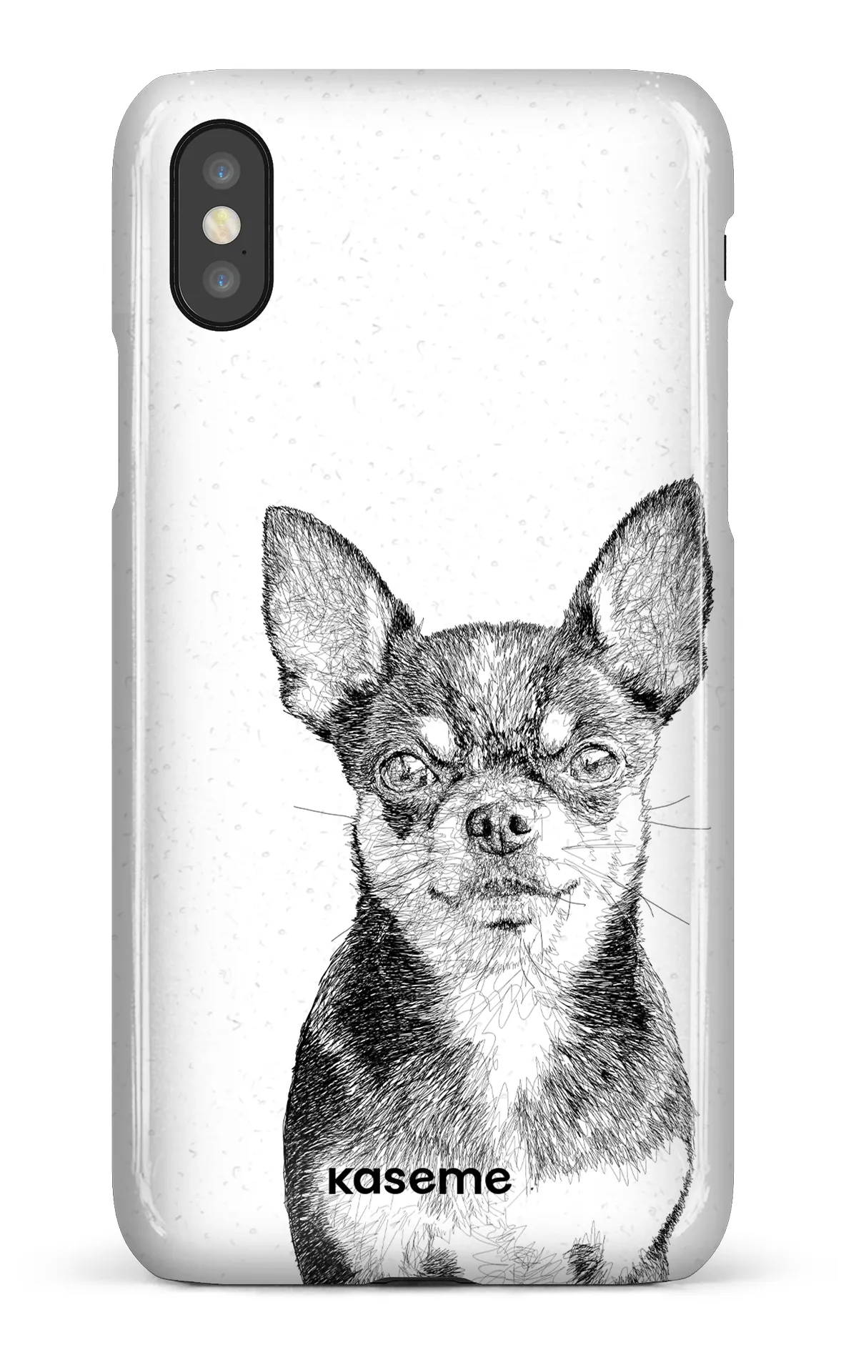 Chiuahua