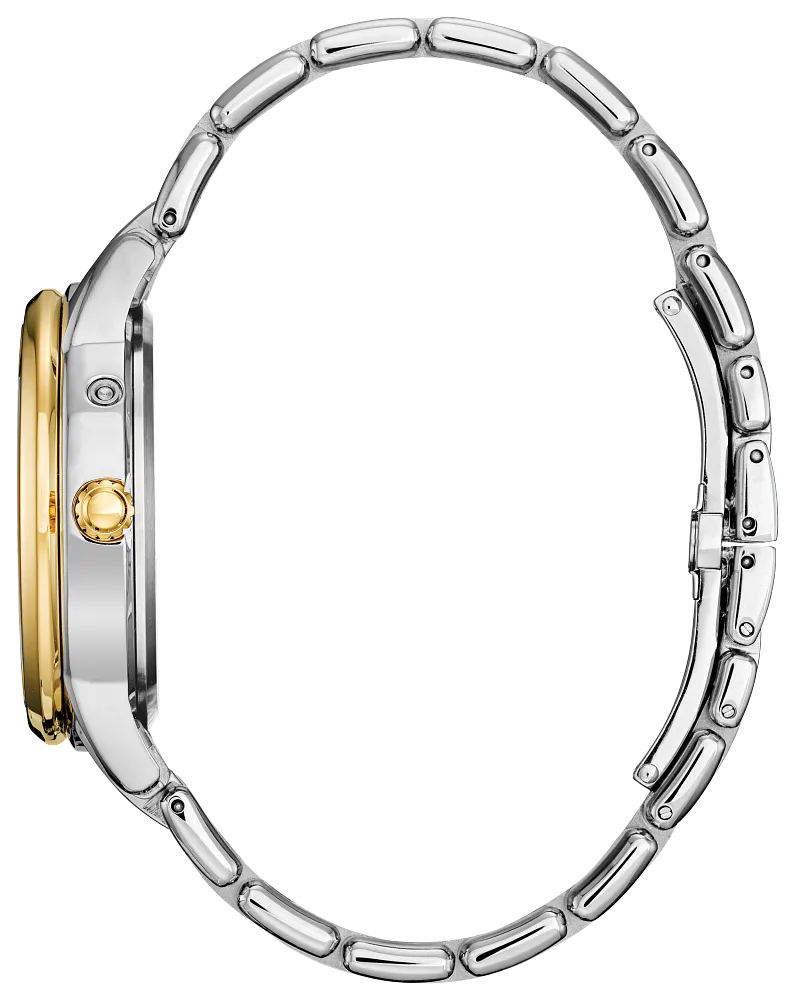 CITIZEN Calendrier Ladies Watch FD0004-51D