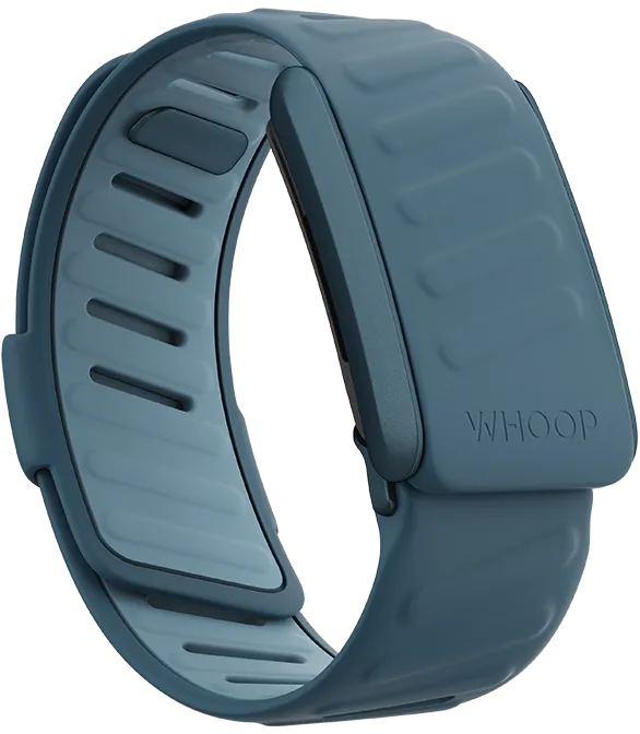 Dash SportFlex Band