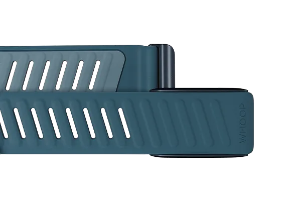 Dash SportFlex Band