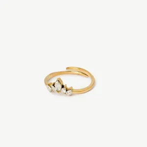 Dionysos Ring