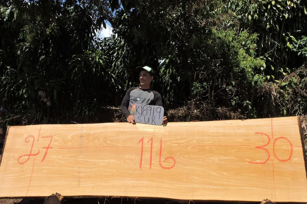 Dragon Wood/Sura 116x29x2.5 Slab (K18919SUR)