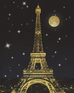 Eiffel Night