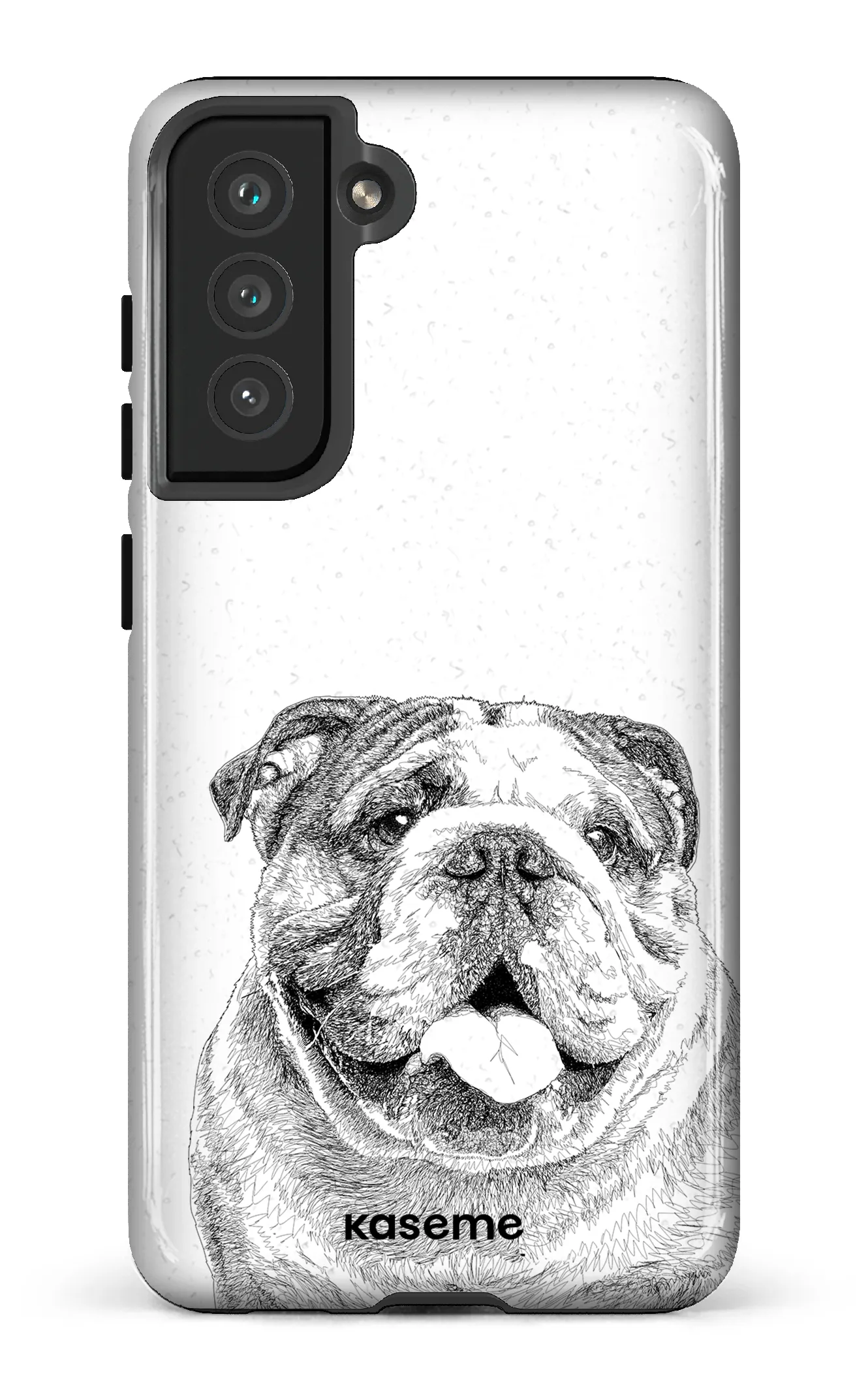 English Bulldog