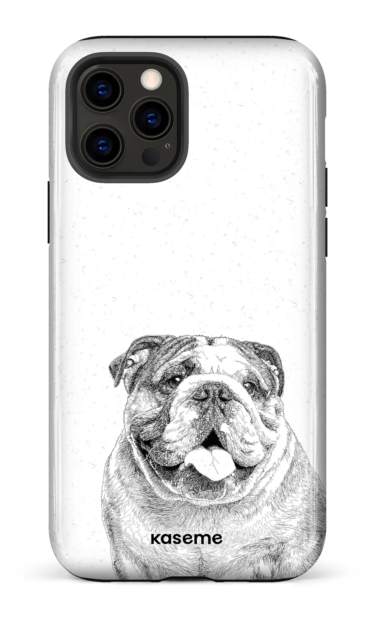 English Bulldog