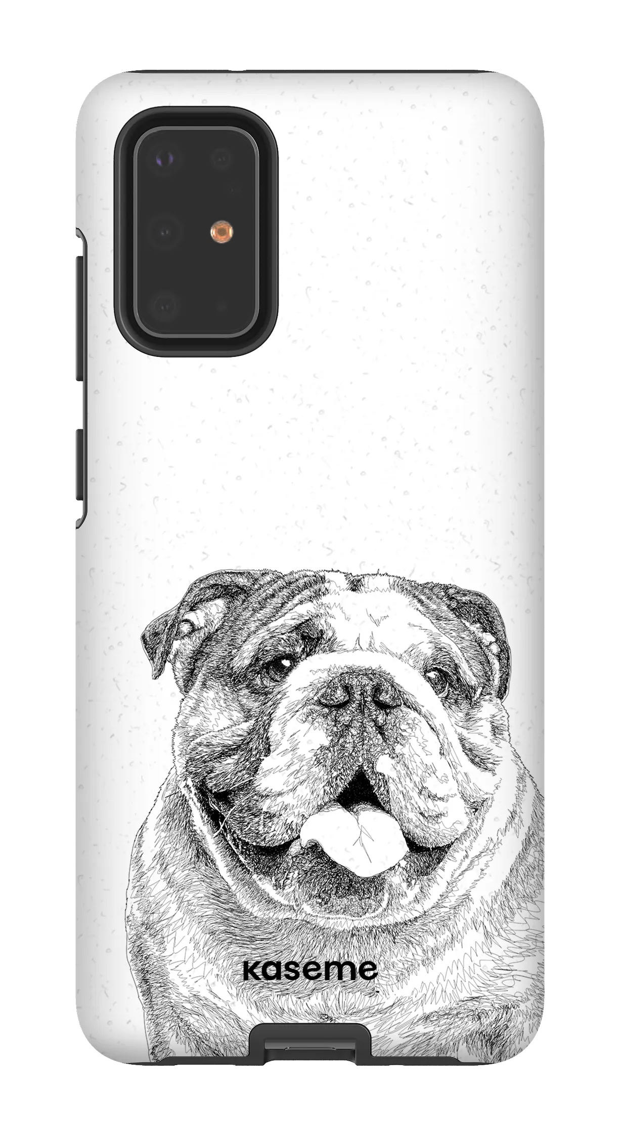 English Bulldog