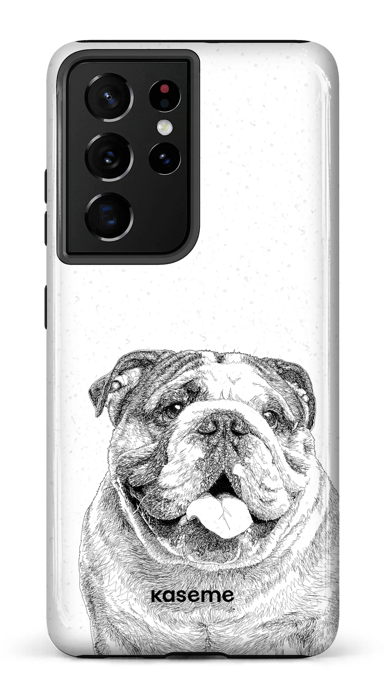 English Bulldog